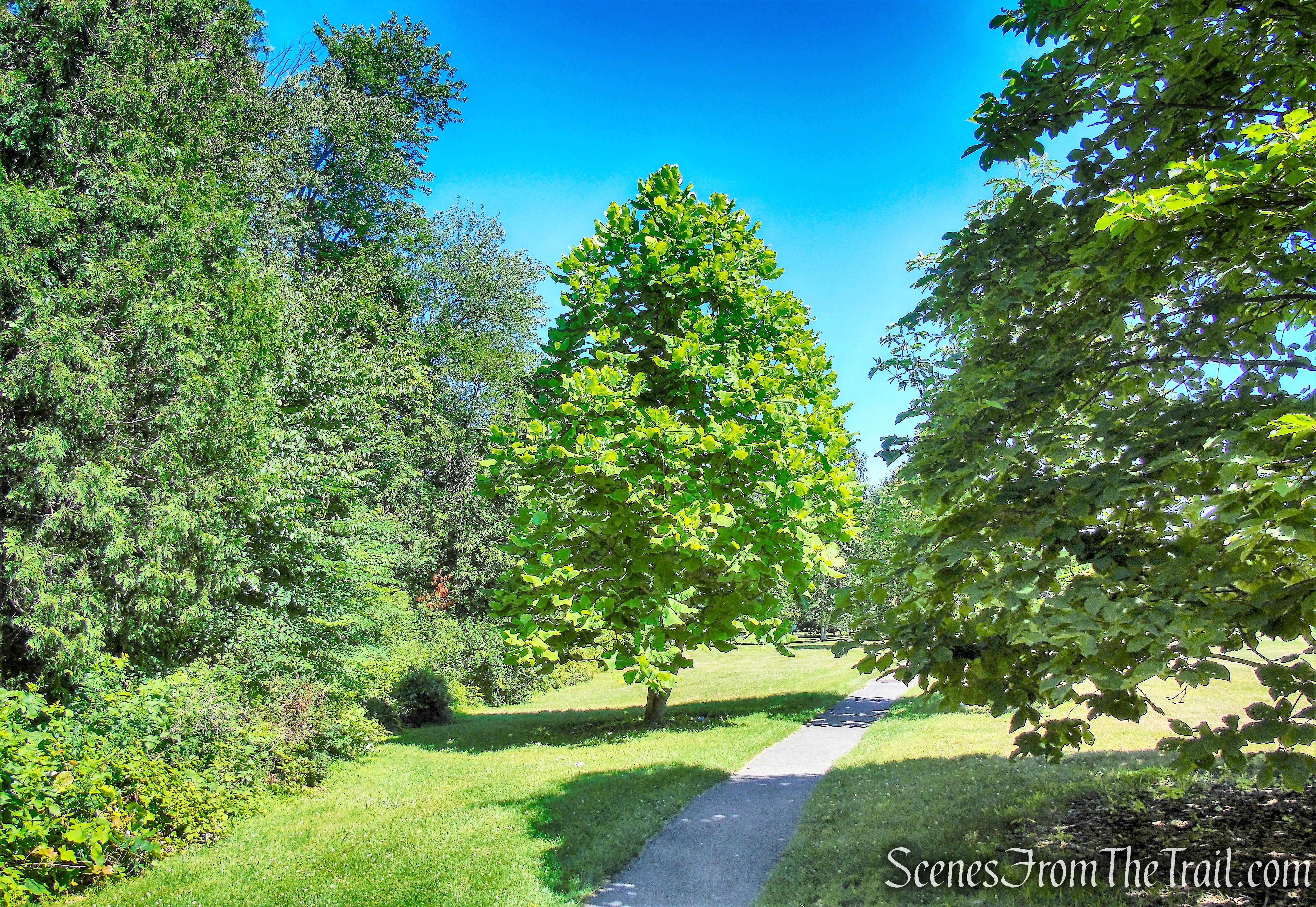 Historic Tree Trail