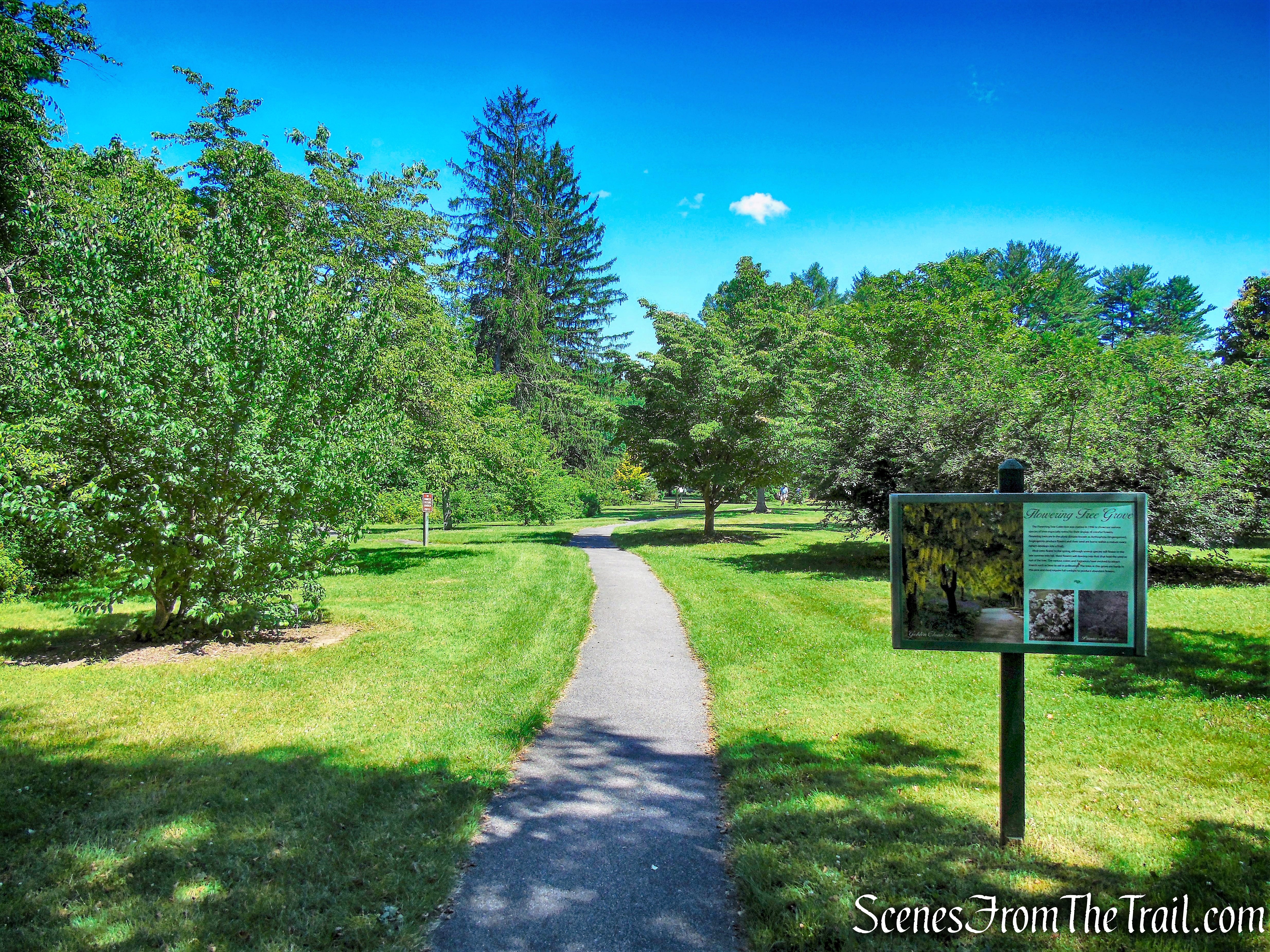Historic Tree Trail