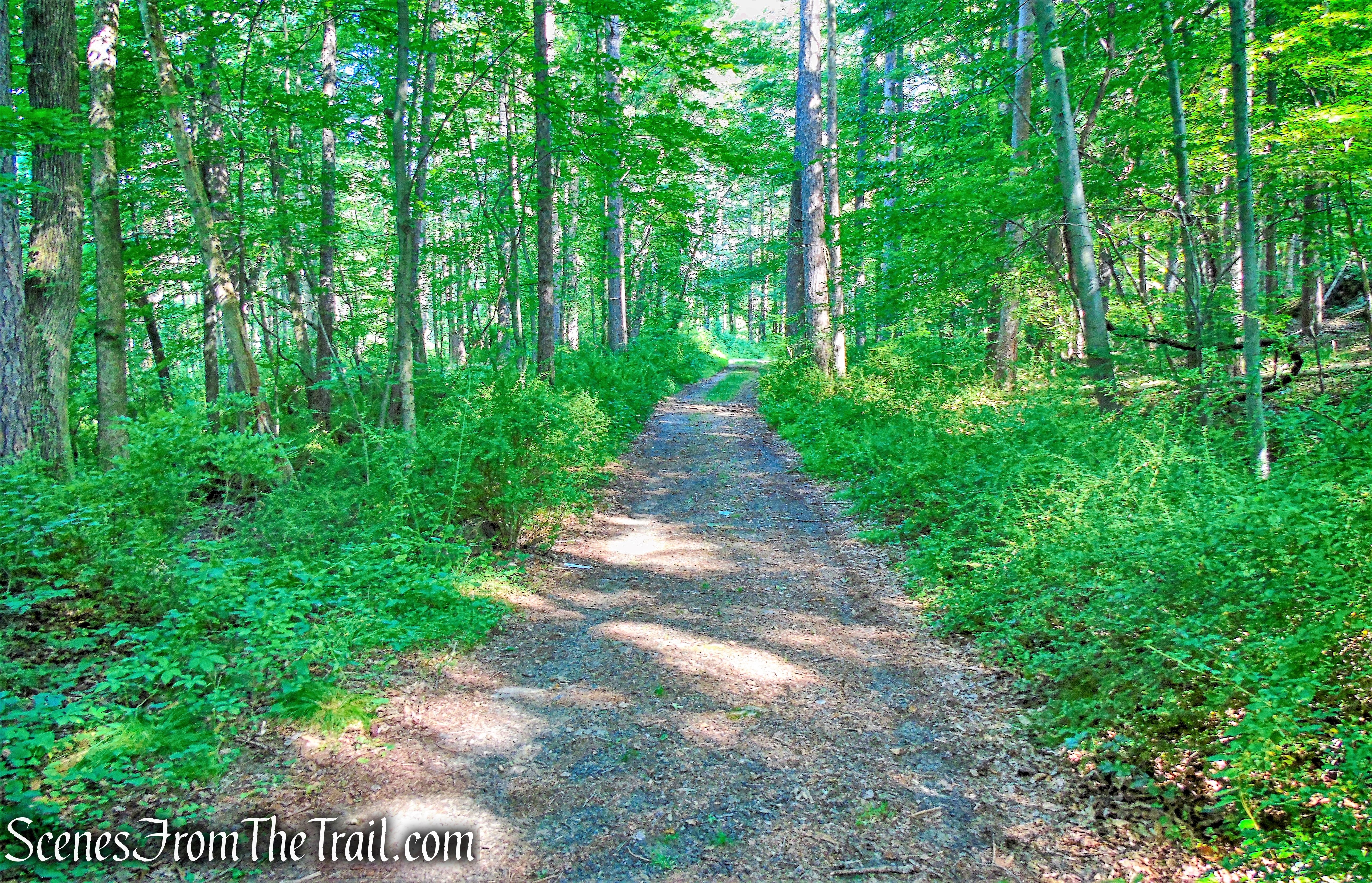 park road - Anthony Wayne Recreation Area