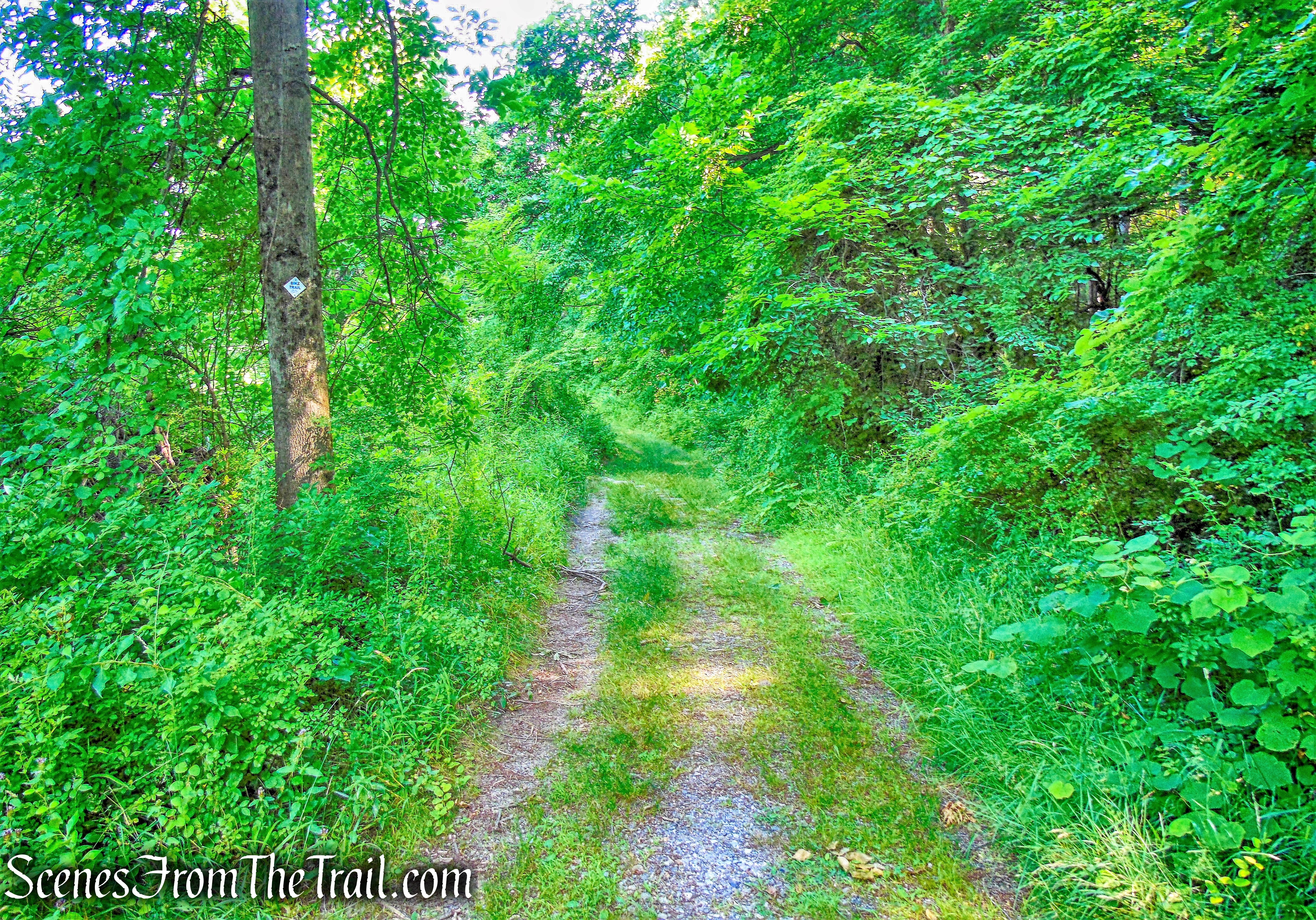 Horn Hill Loop Mountain Bike Trail