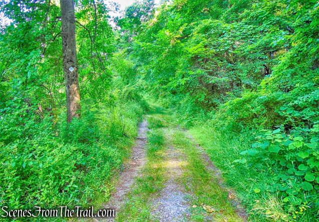 Horn Hill Loop Mountain Bike Trail