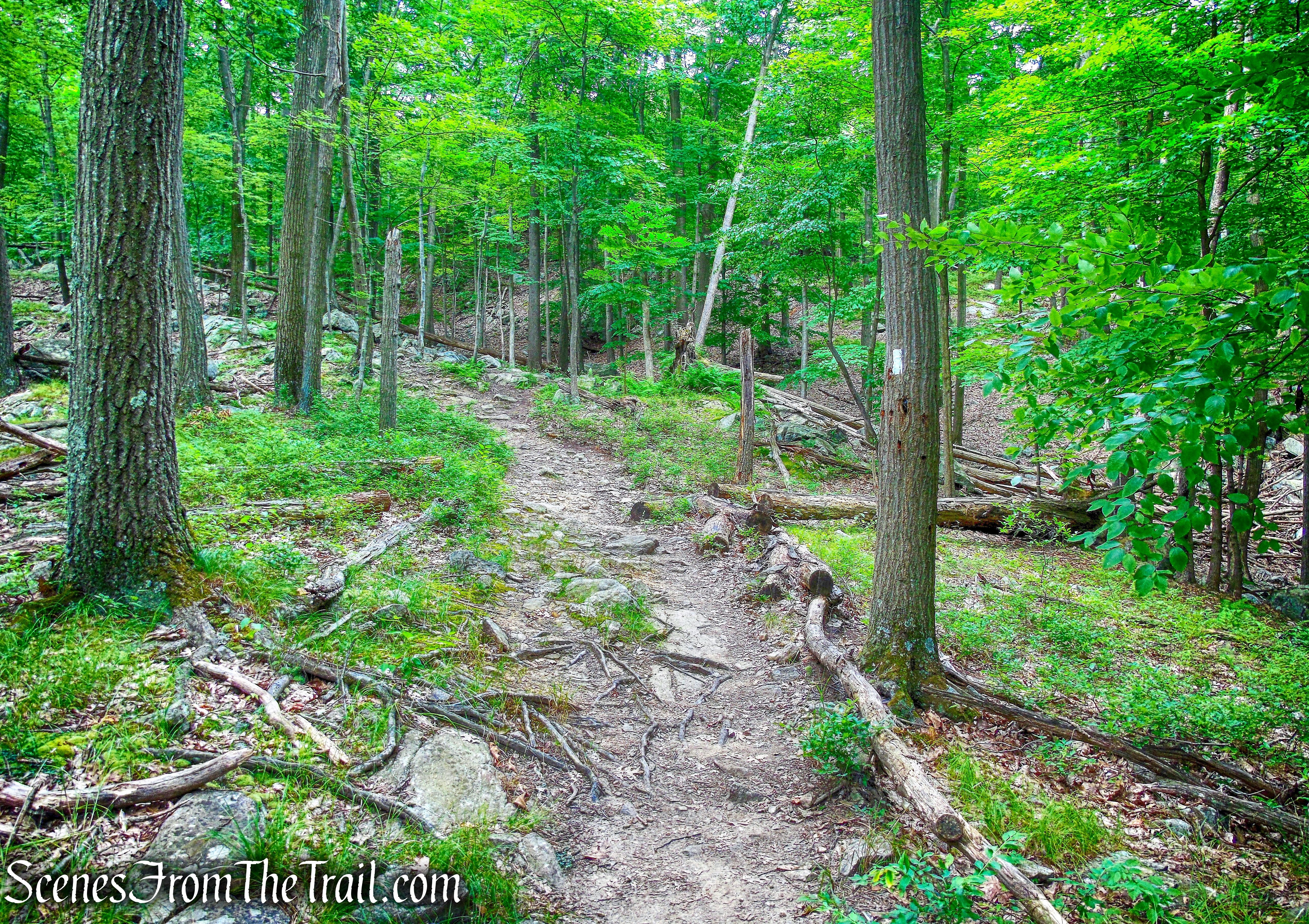 Appalachian Trail