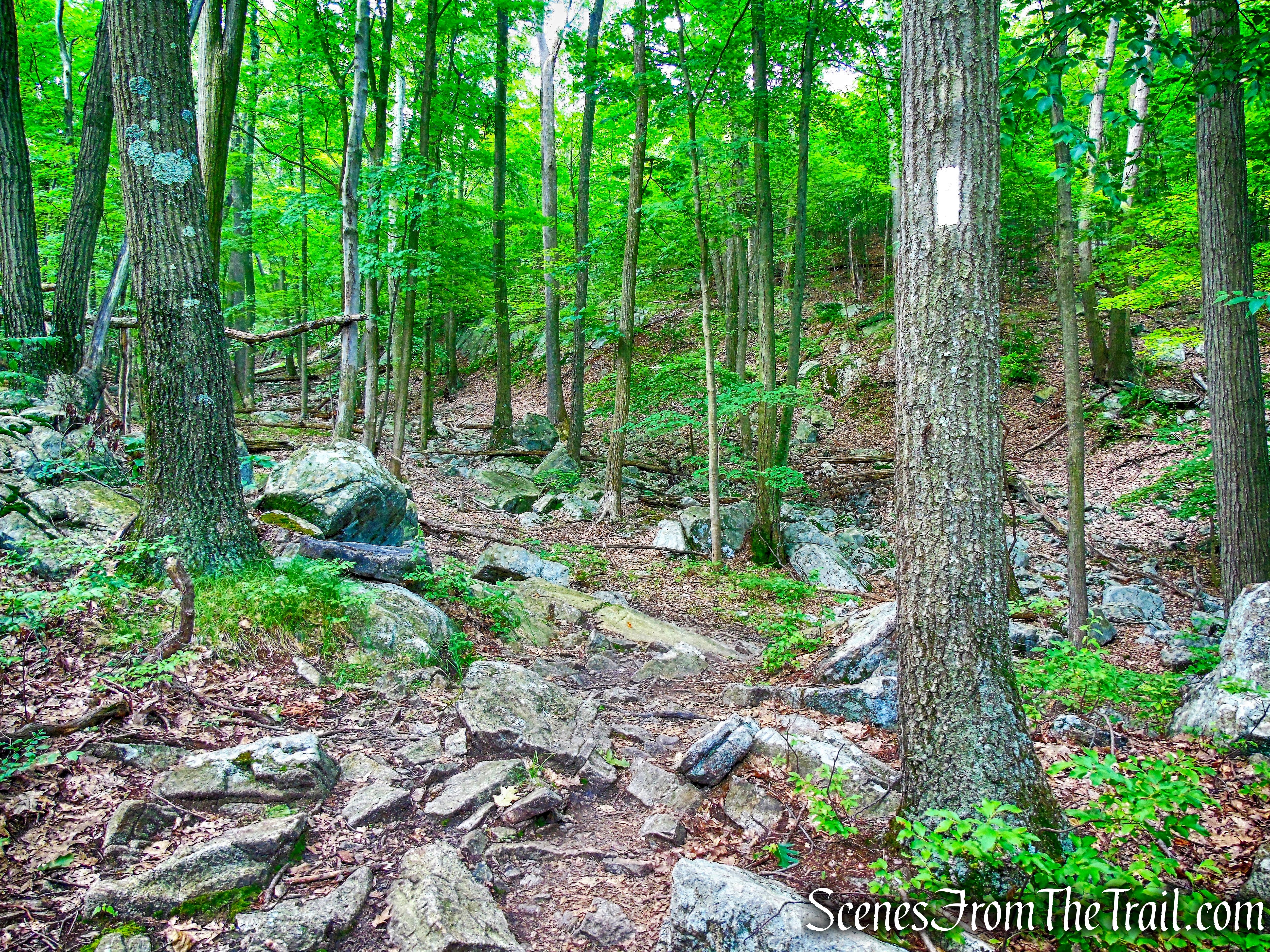 Appalachian Trail