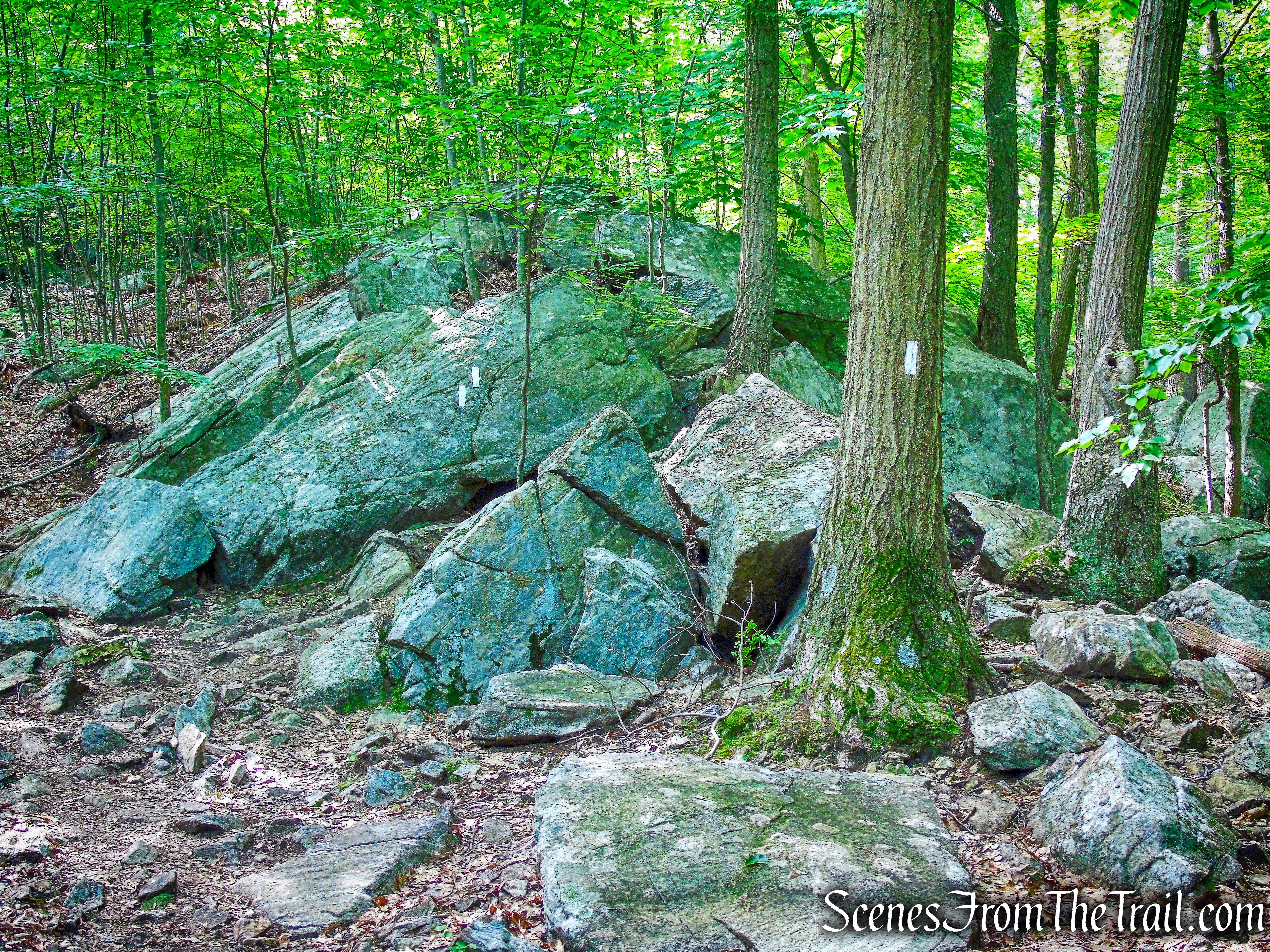 Appalachian Trail