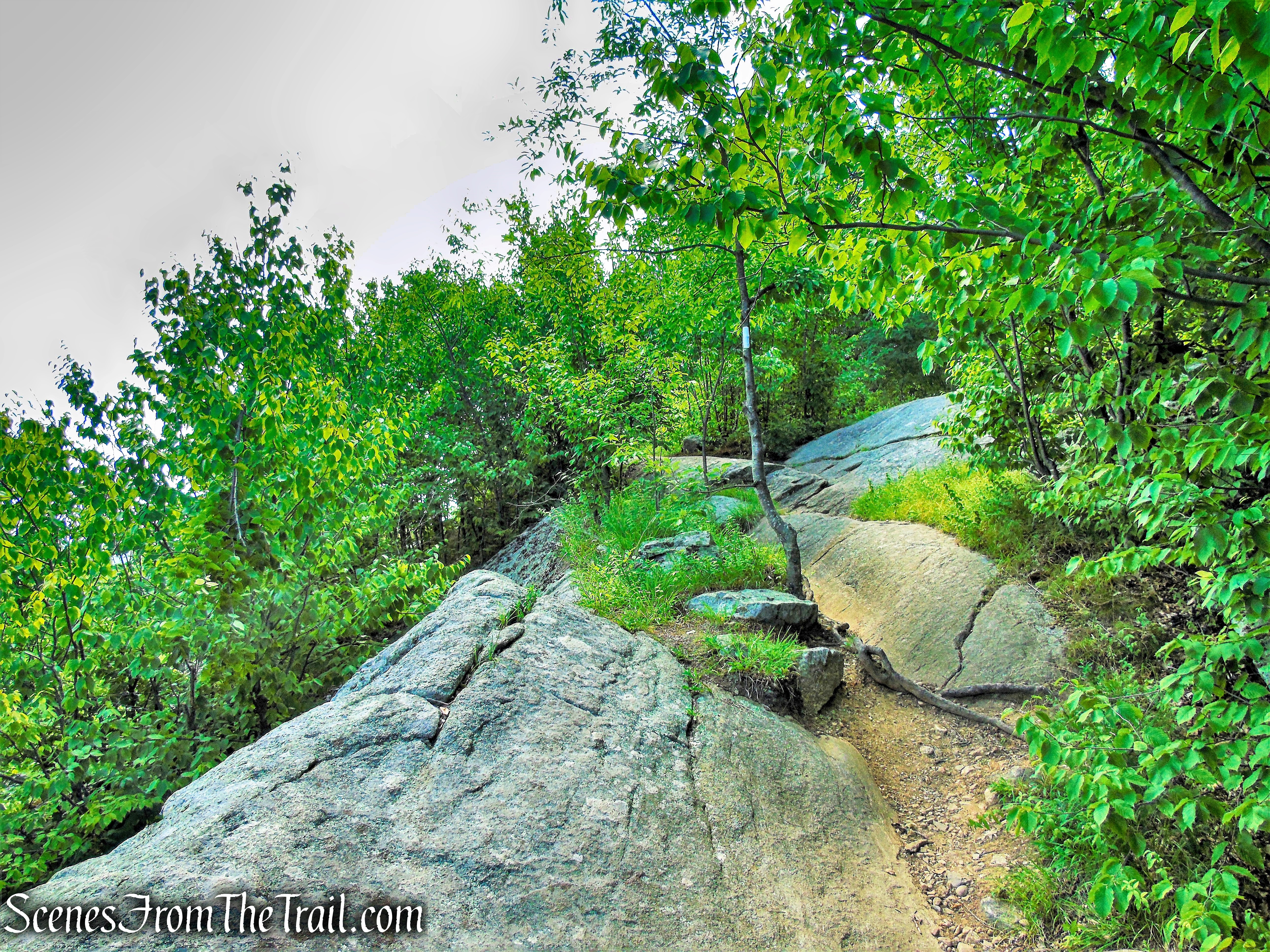 Appalachian Trail