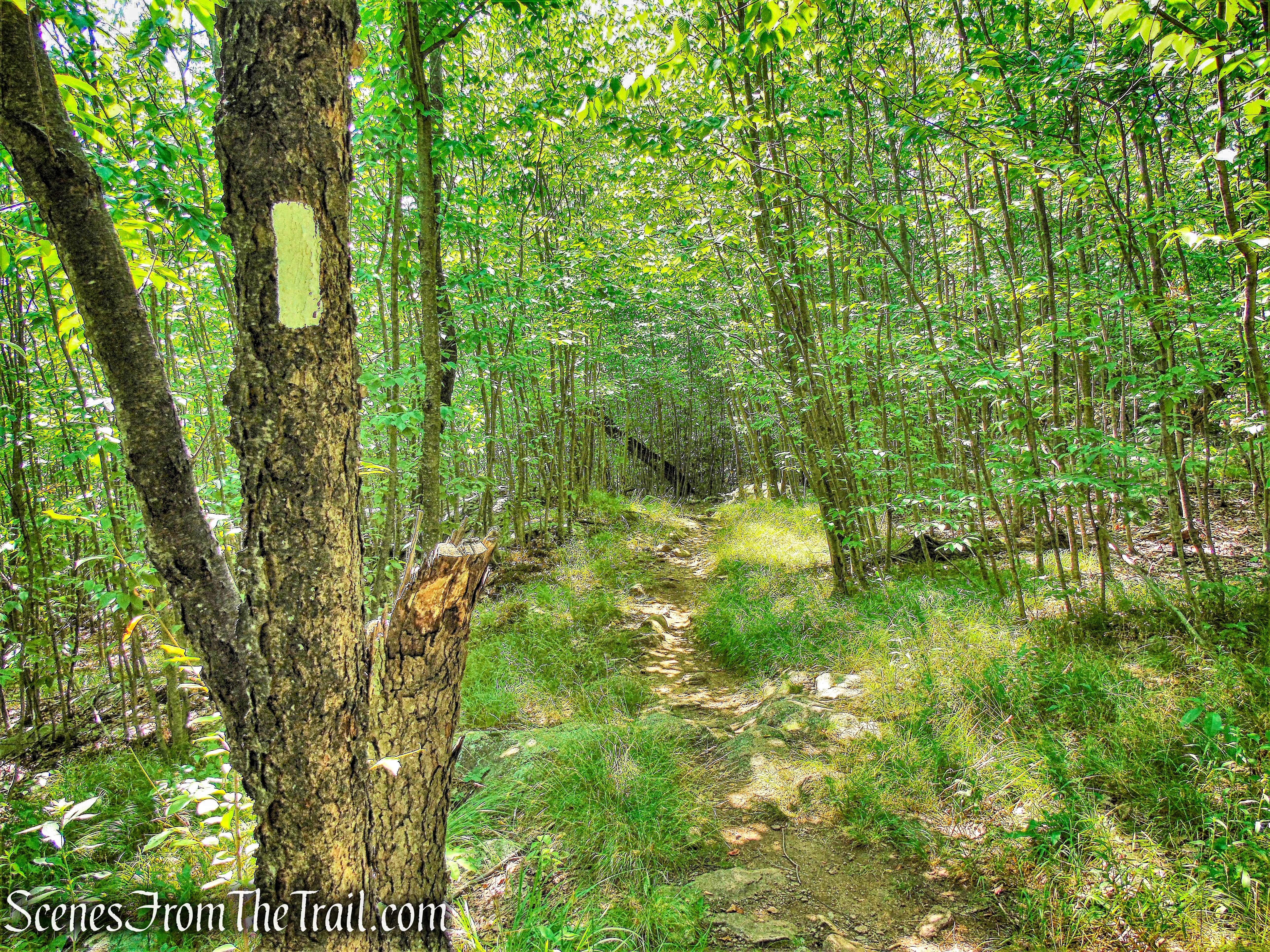 Appalachian Trail