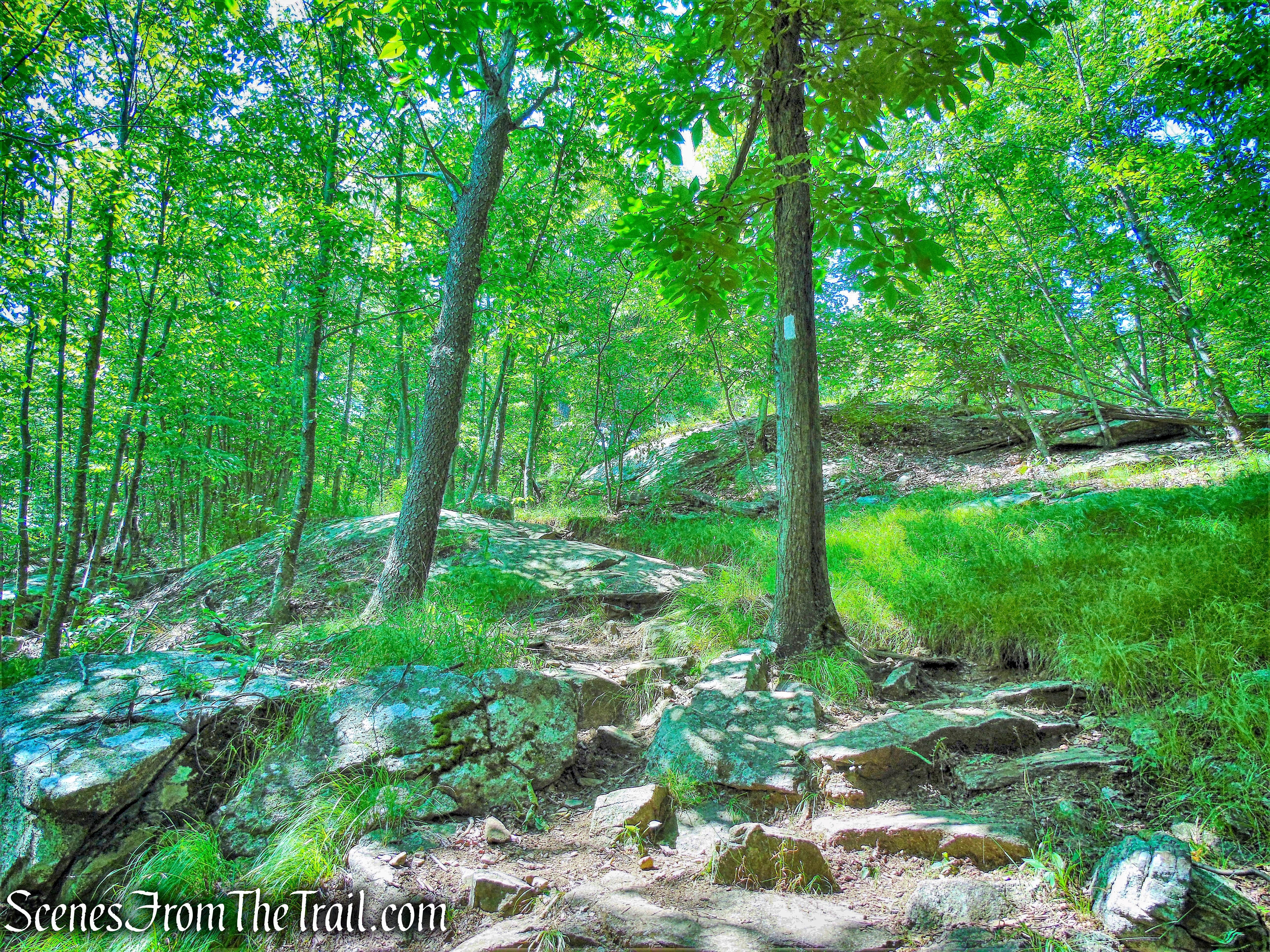 Appalachian Trail