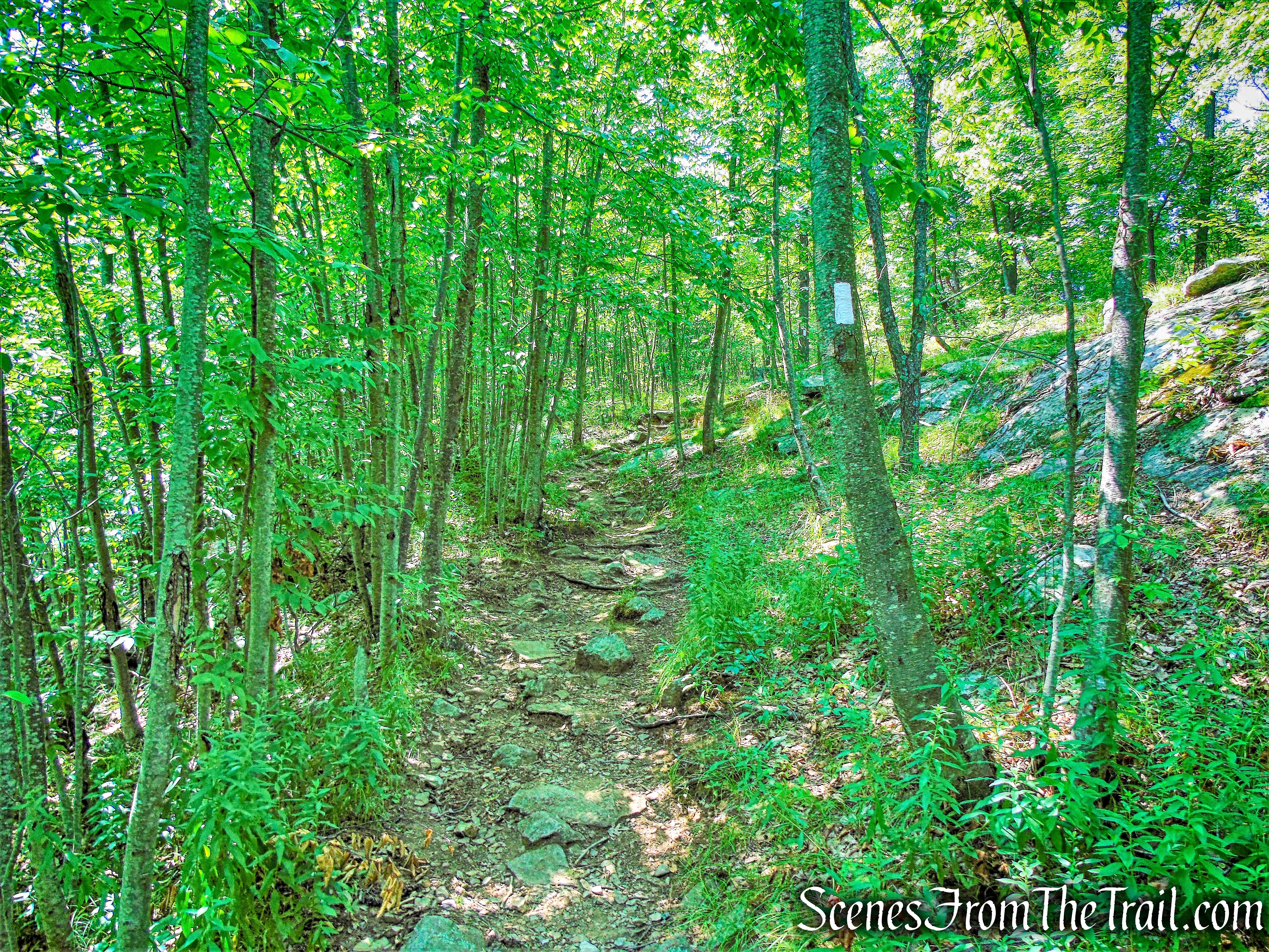 Appalachian Trail