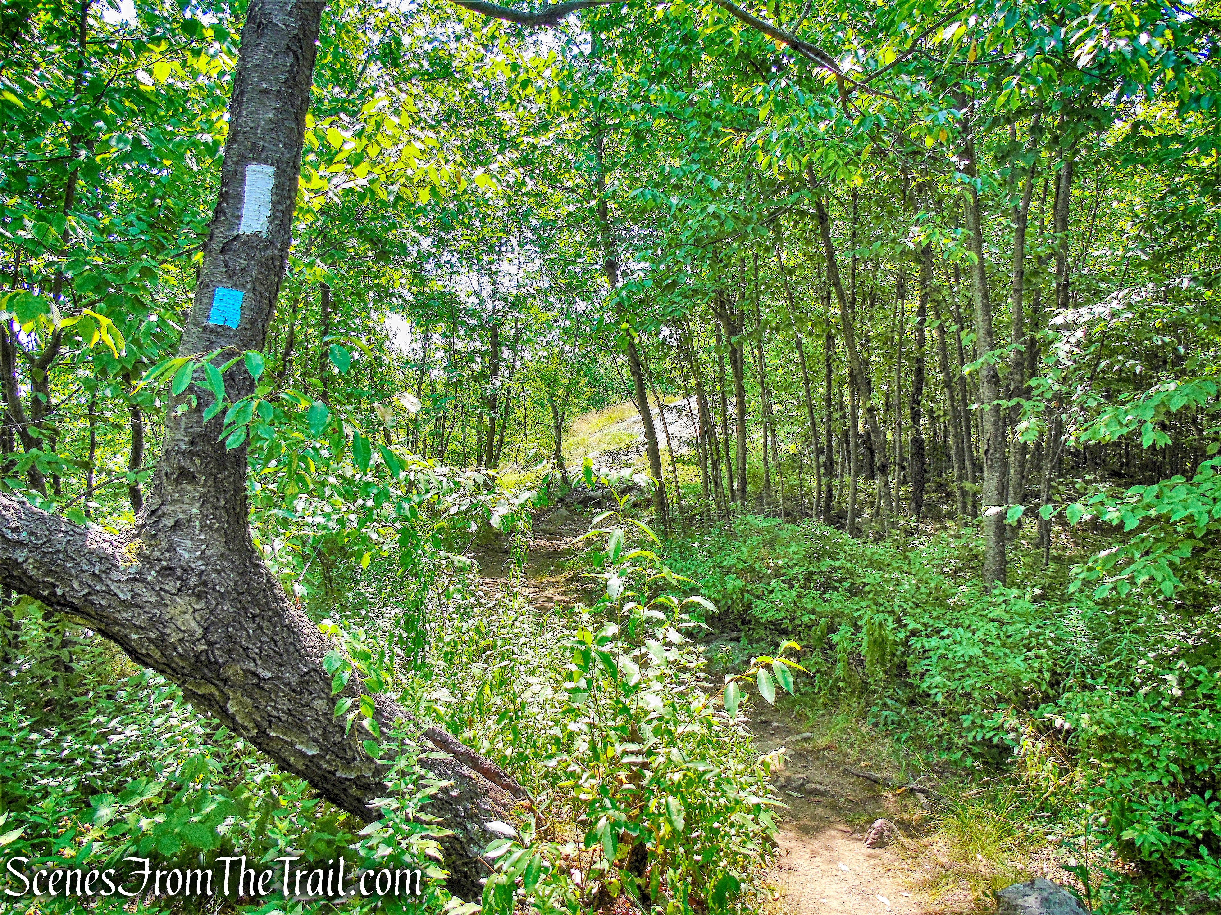 Appalachian Trail