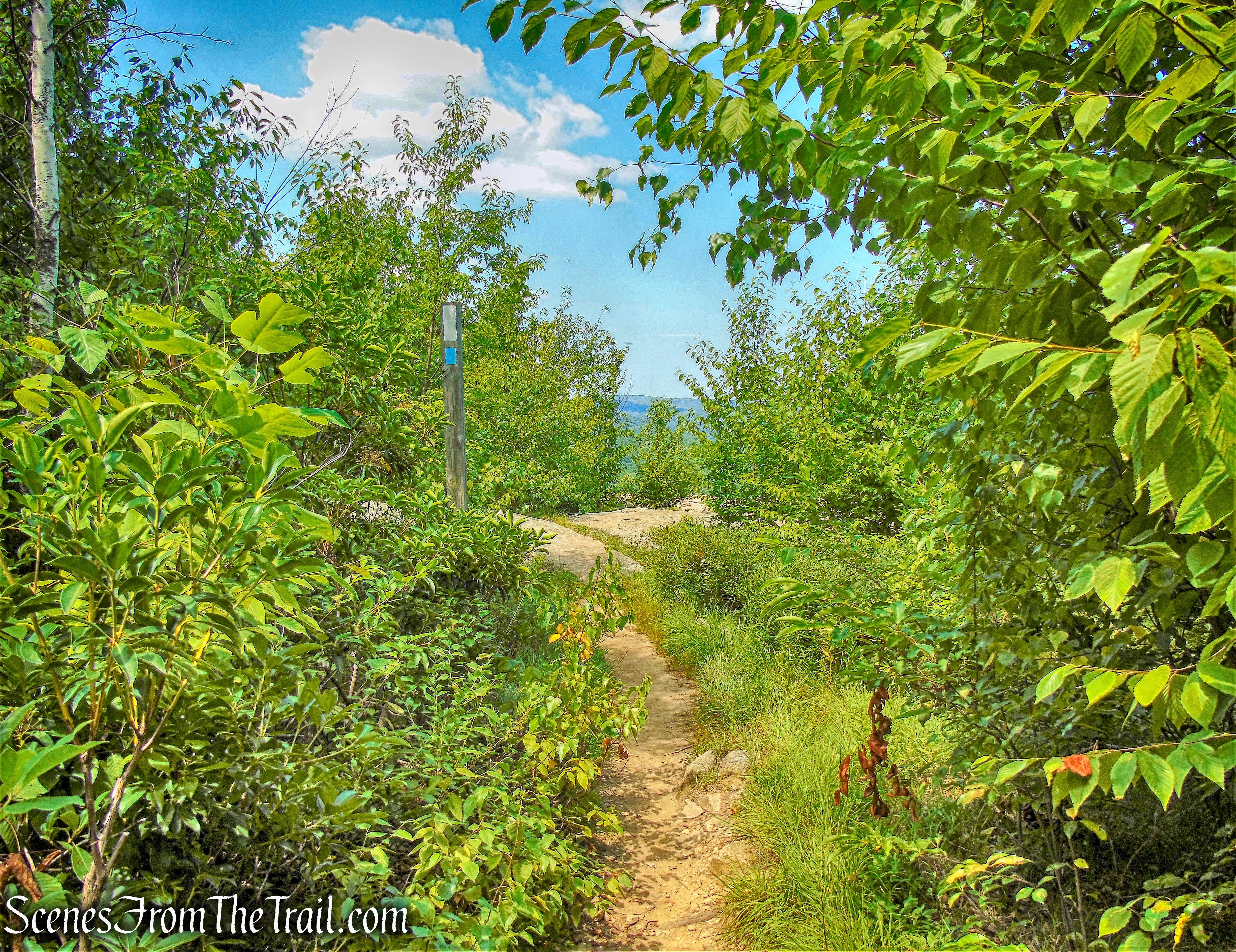 Appalachian Trail