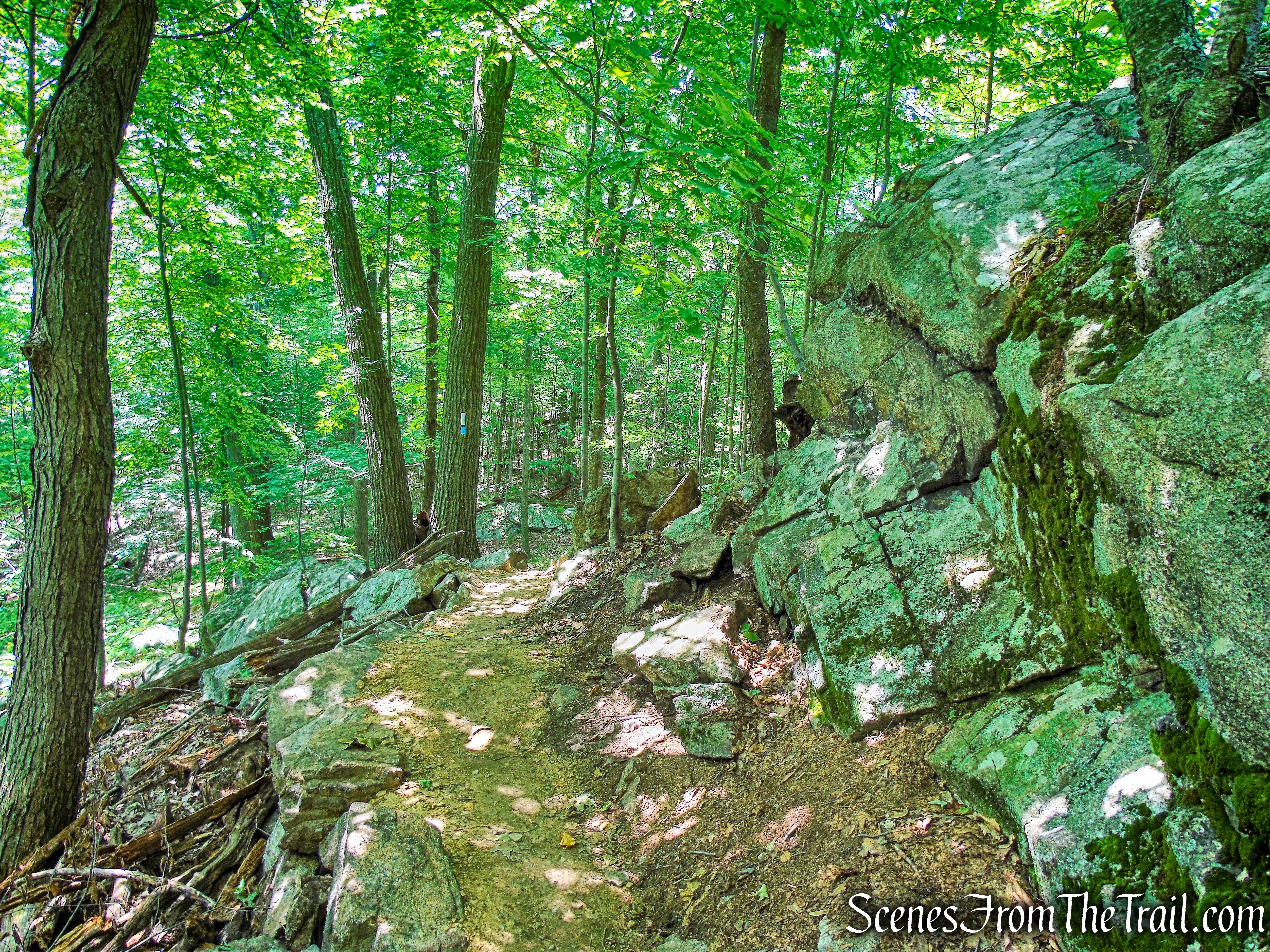 Appalachian Trail