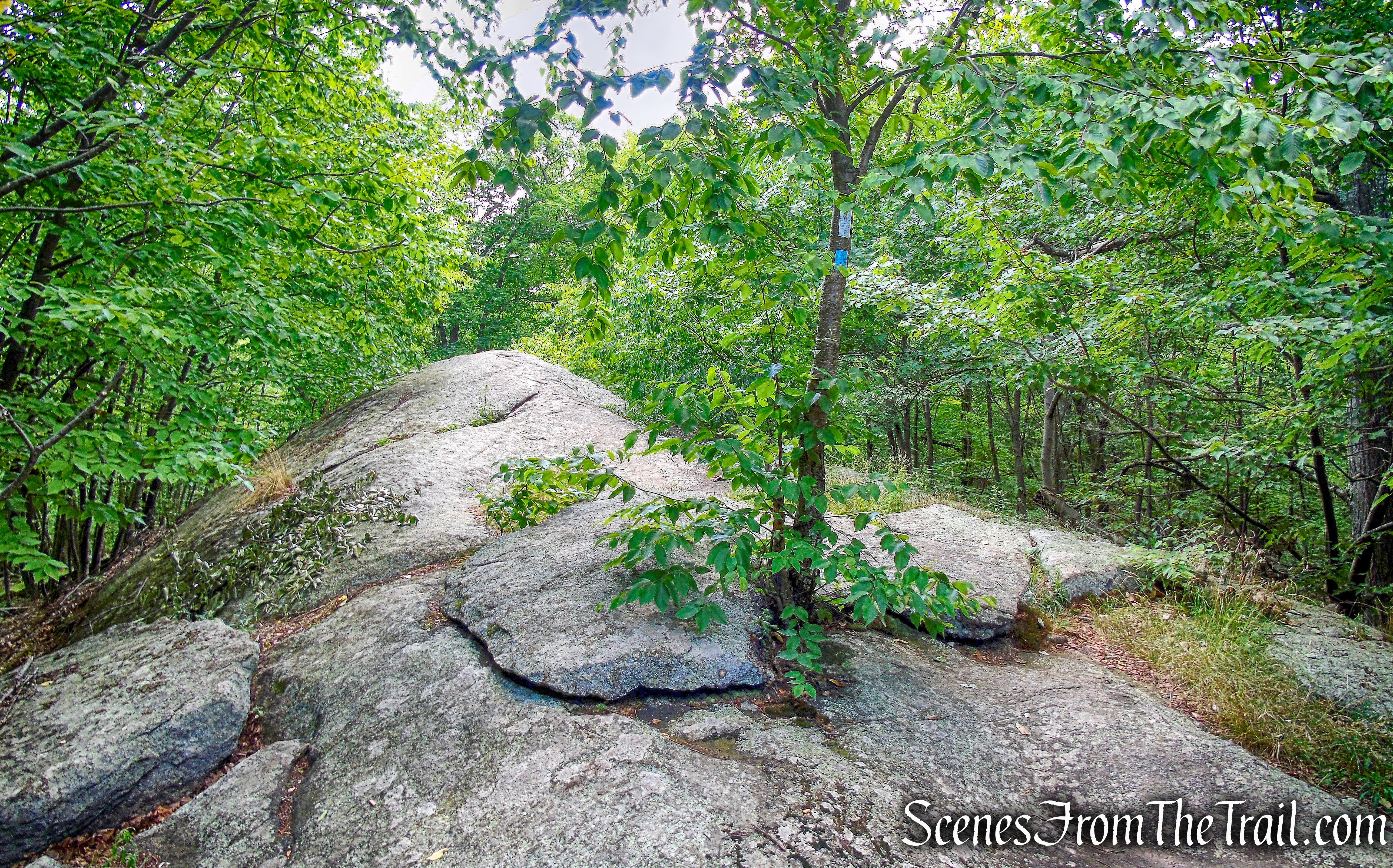 Appalachian Trail
