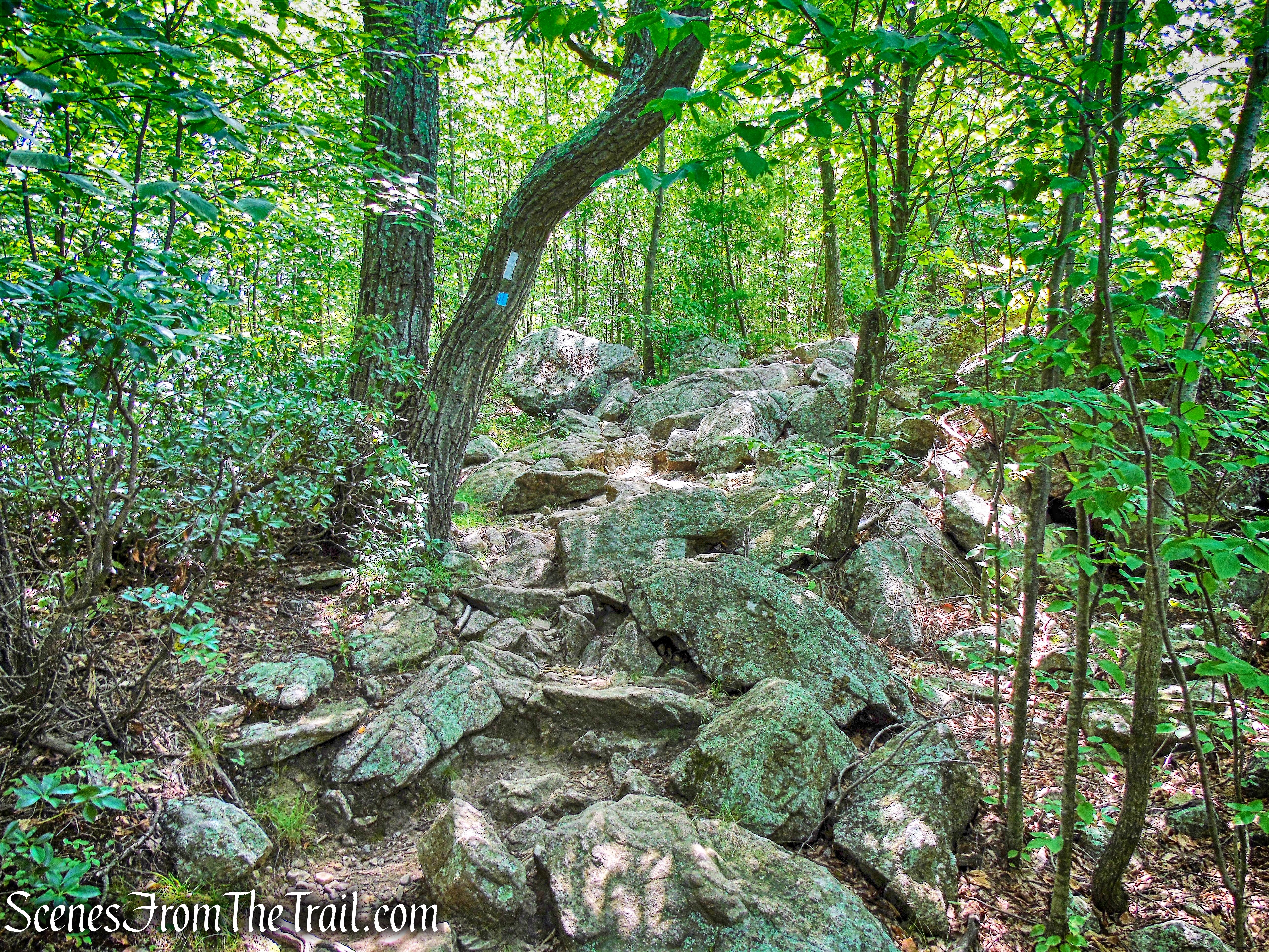 Appalachian Trail