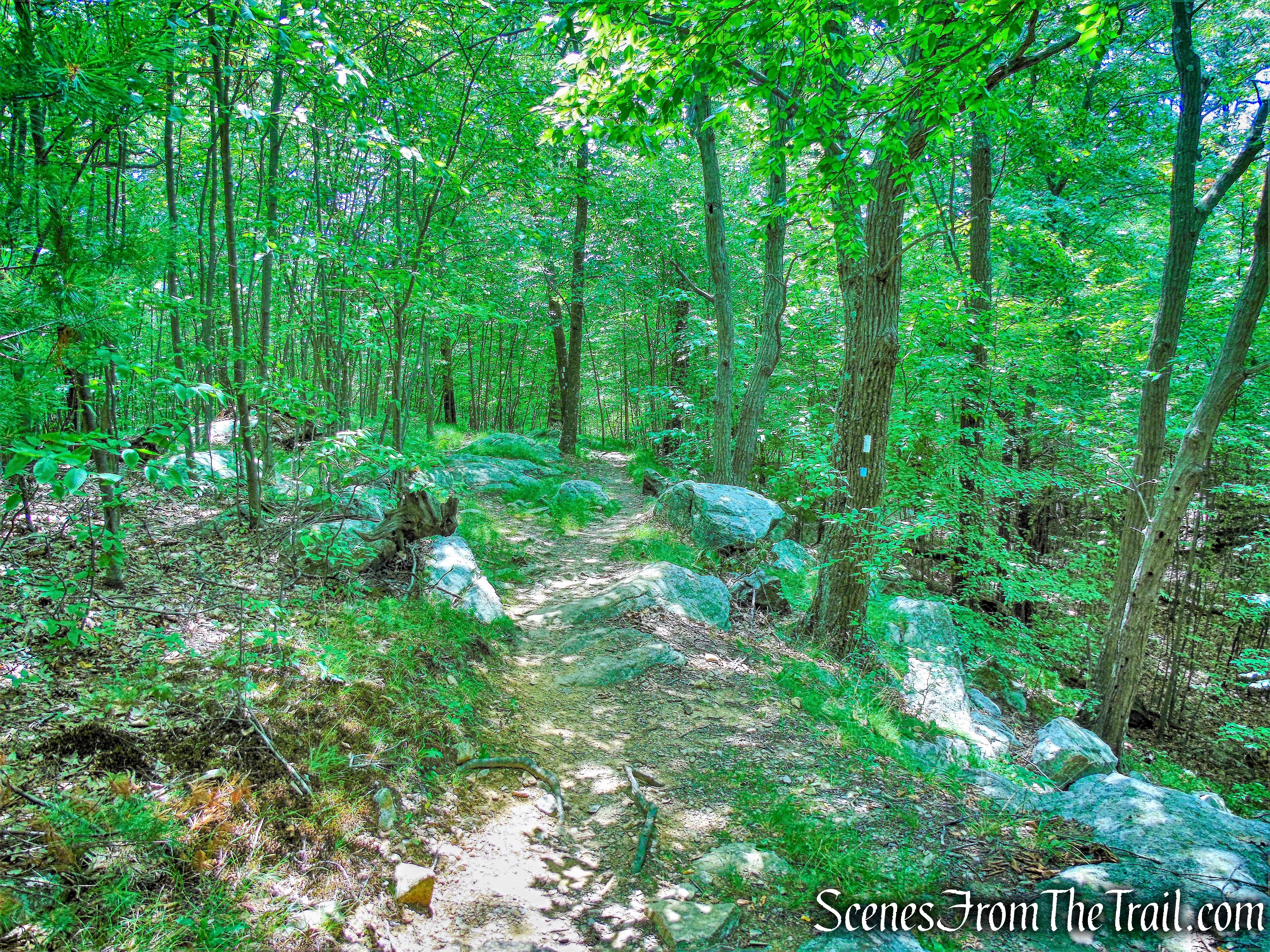 Appalachian Trail