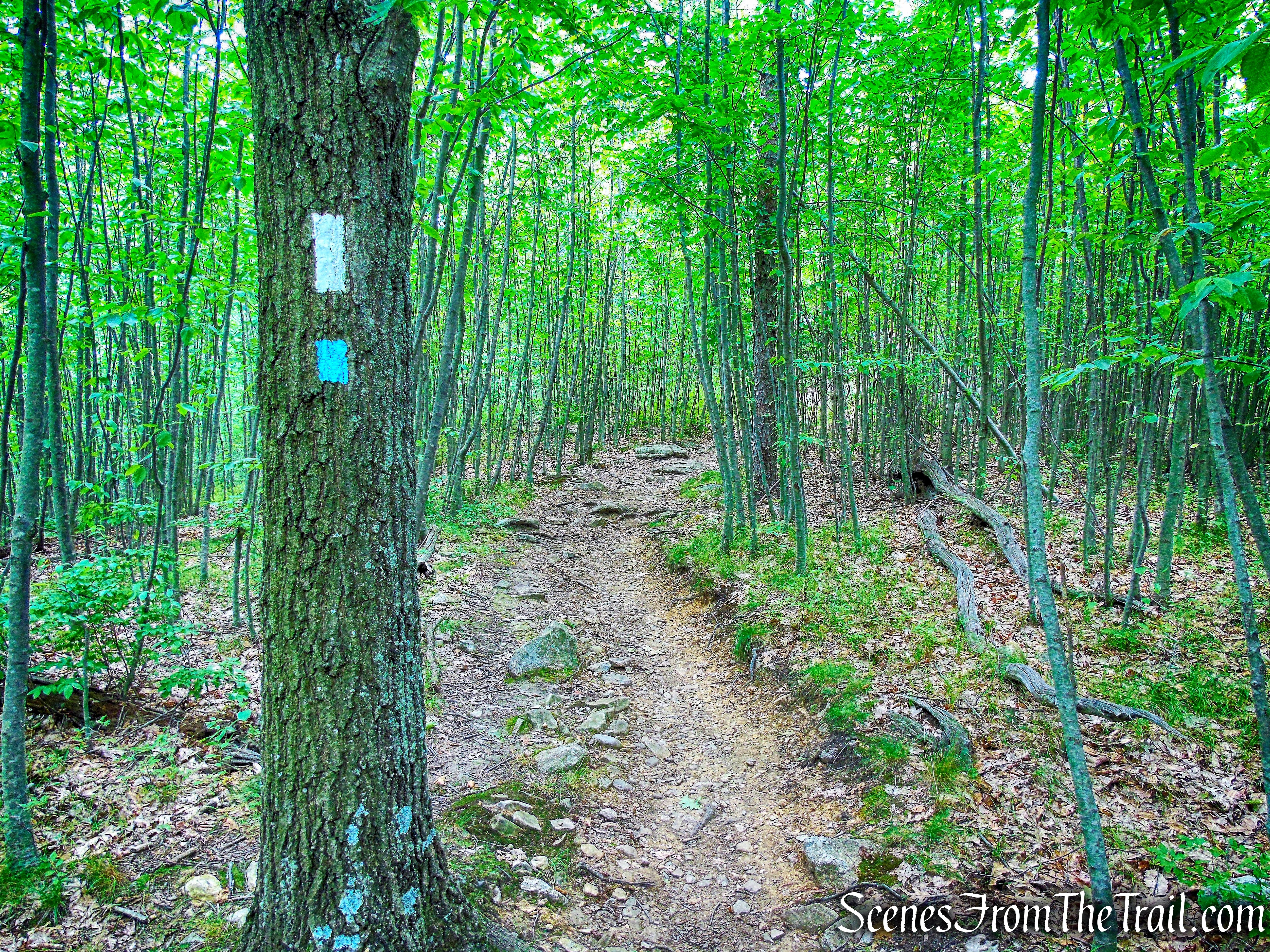 Appalachian Trail