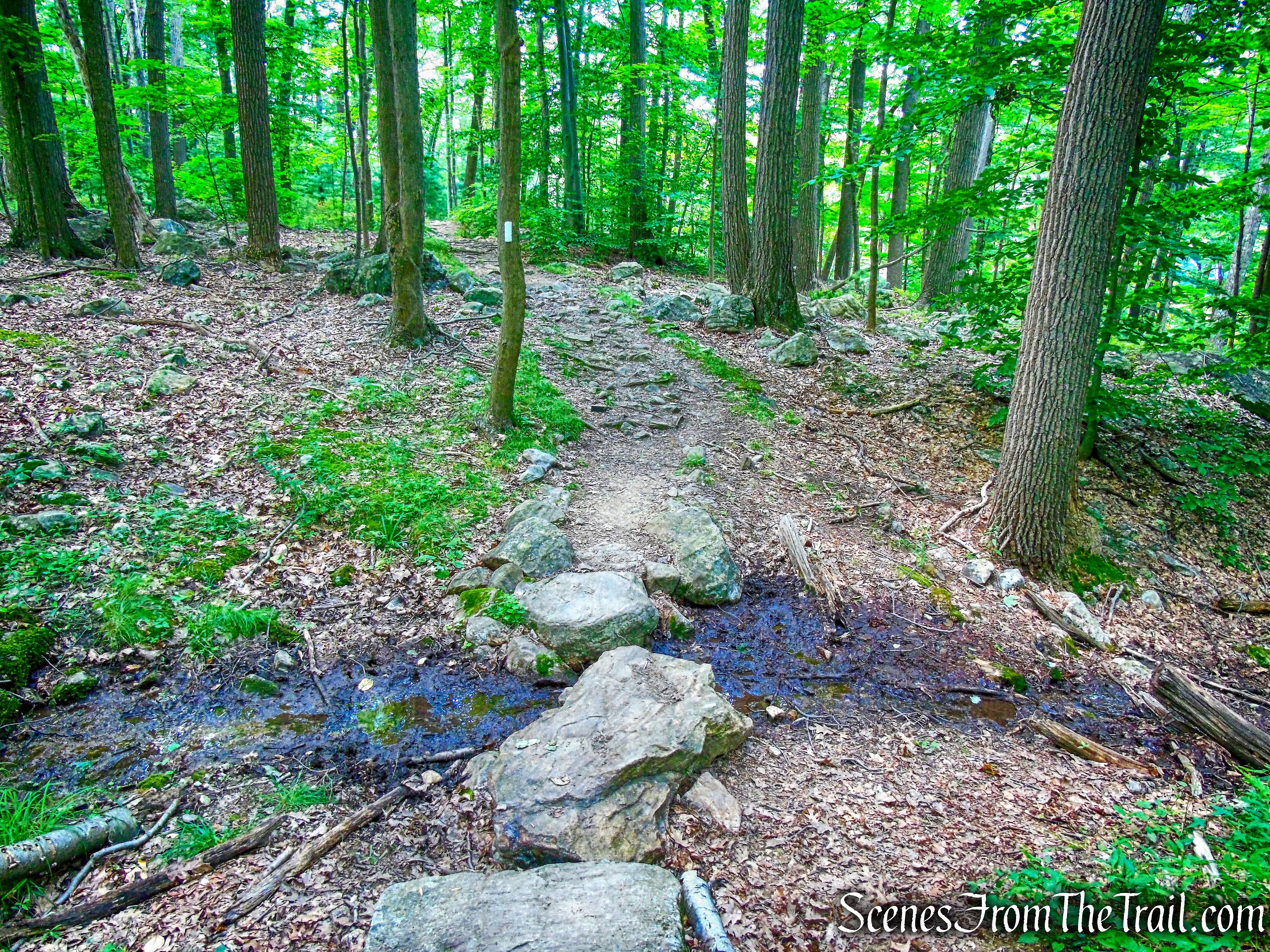 Appalachian Trail