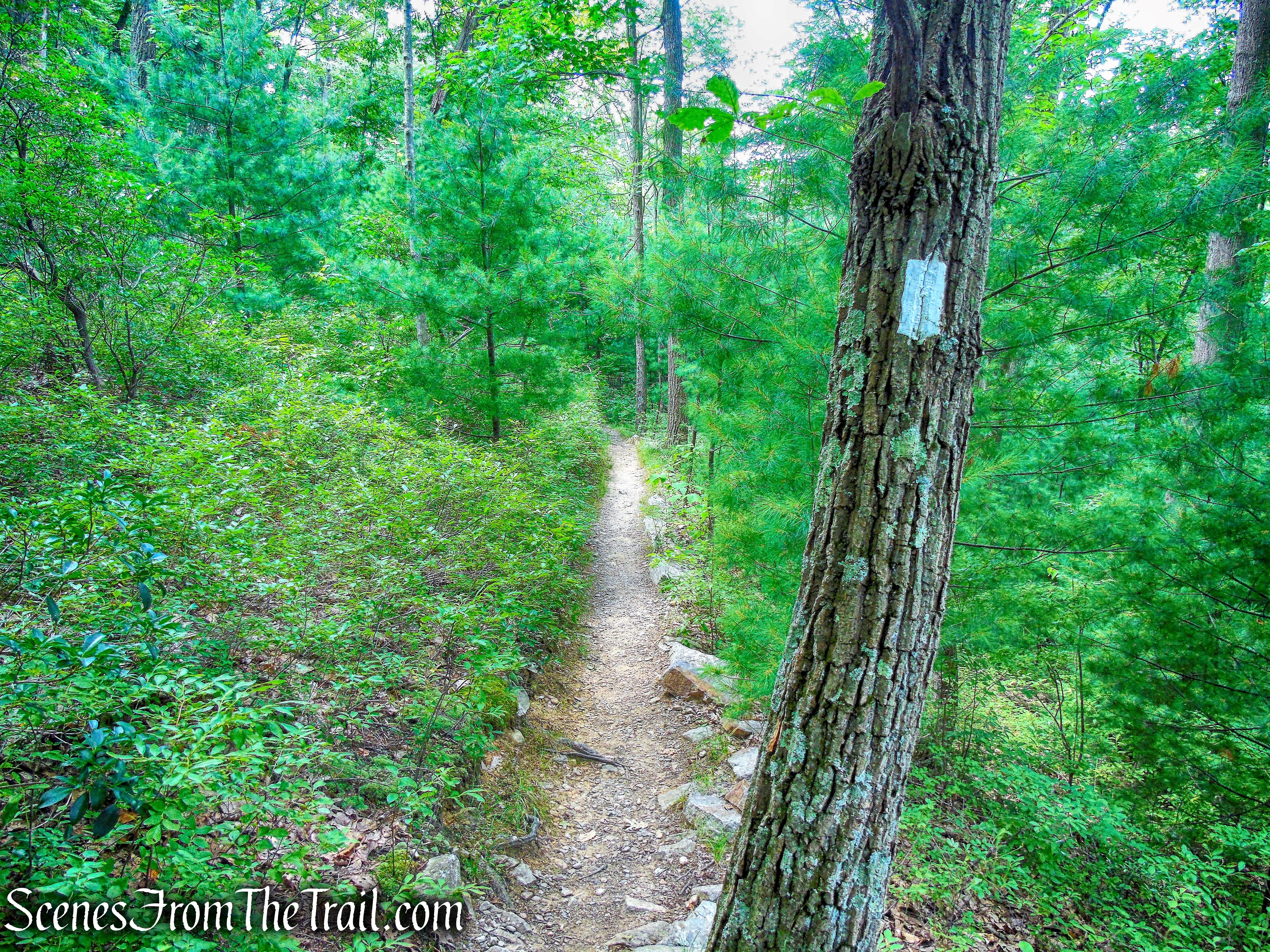 Appalachian Trail