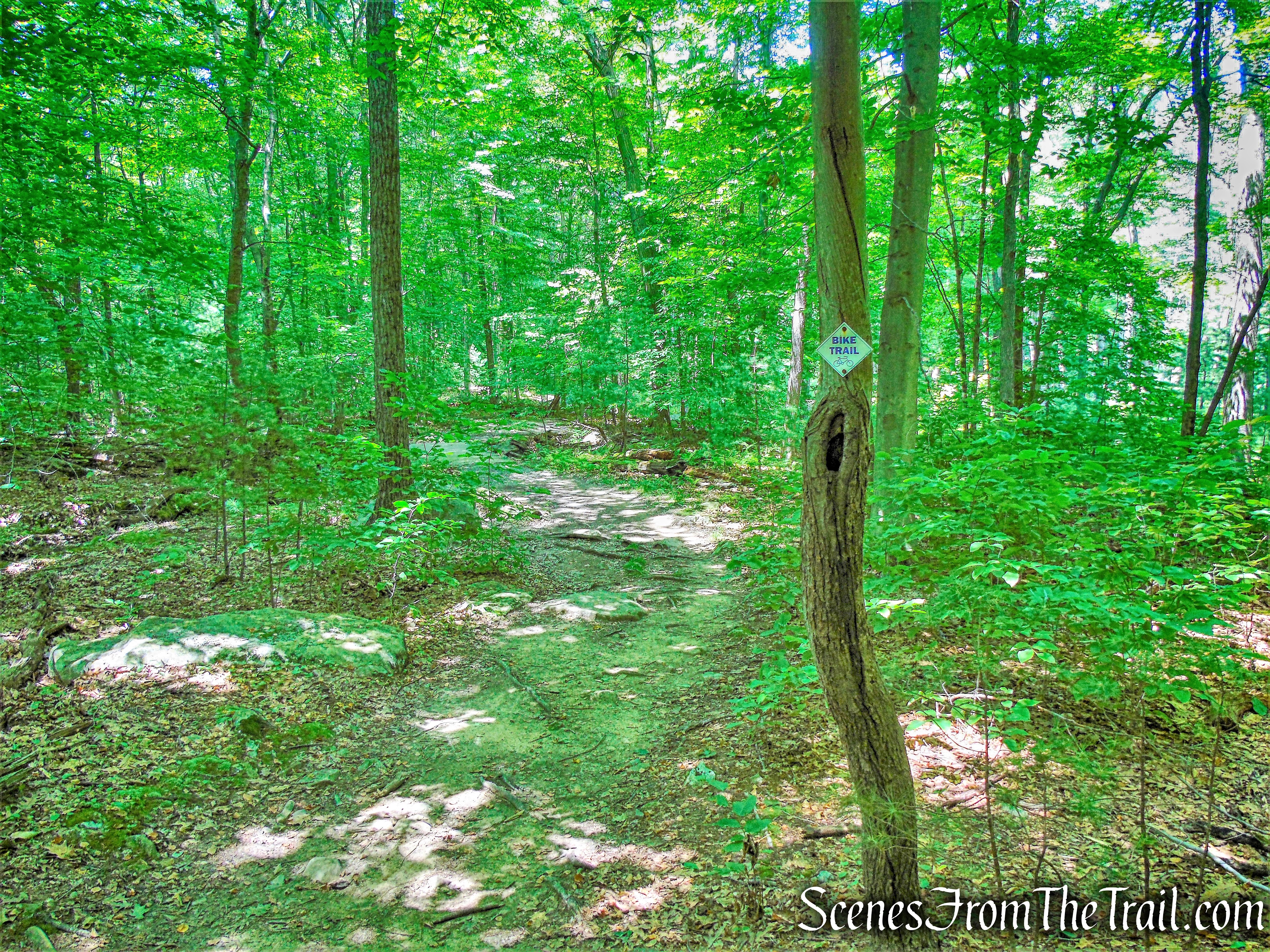 Horn Hill Loop Mountain Bike Trail
