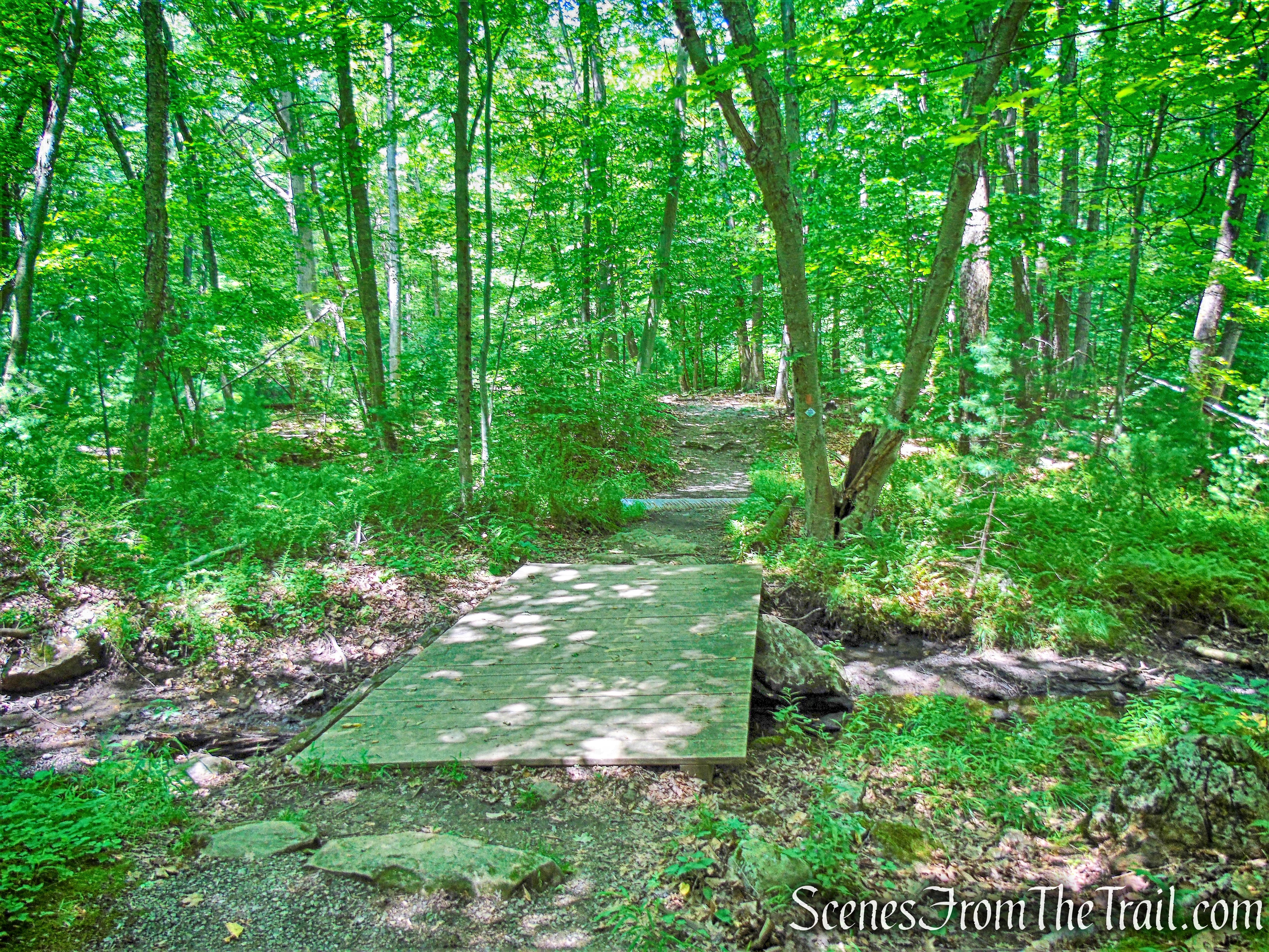 Horn Hill Loop Mountain Bike Trail