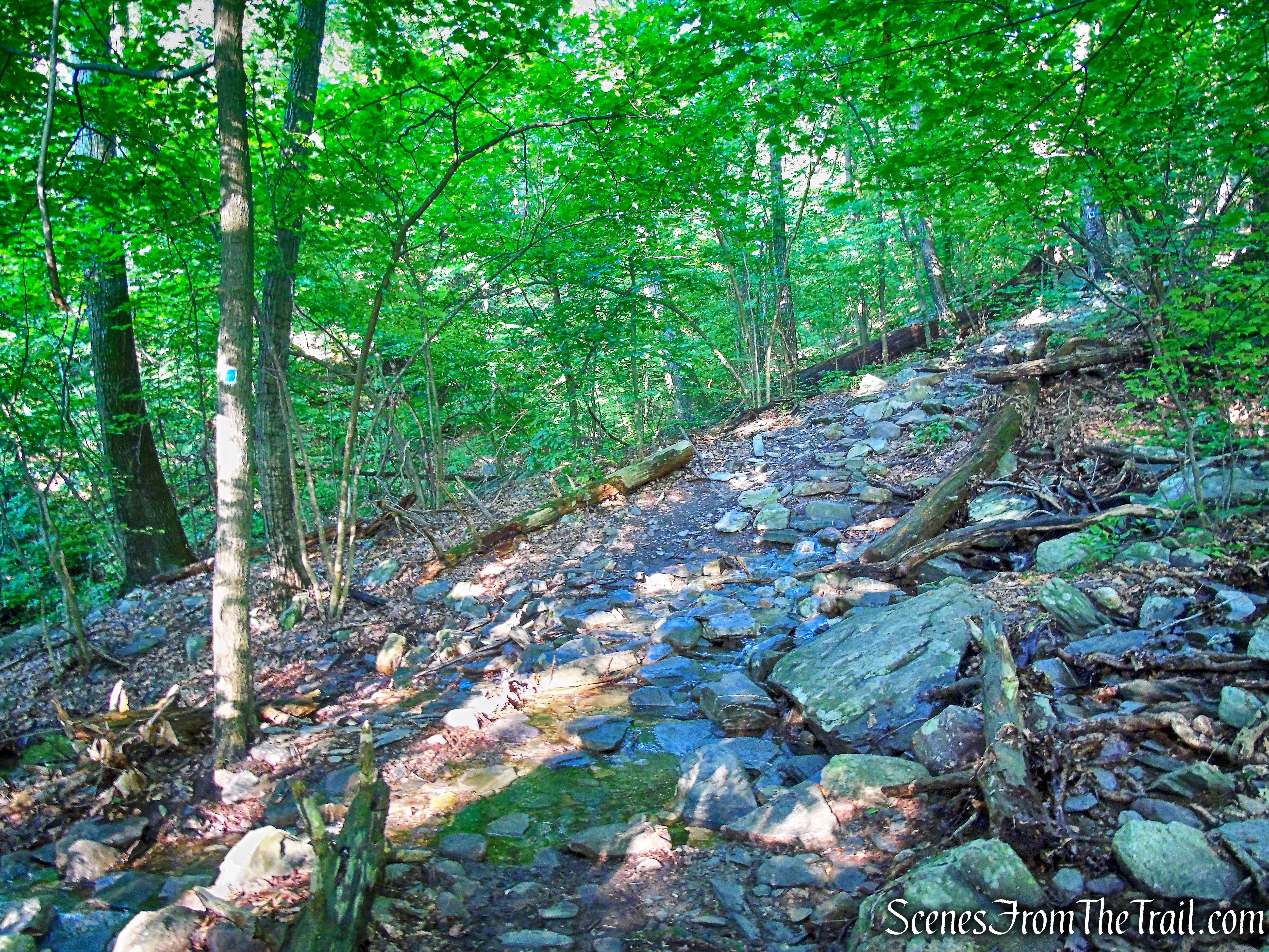 State Line Trail
