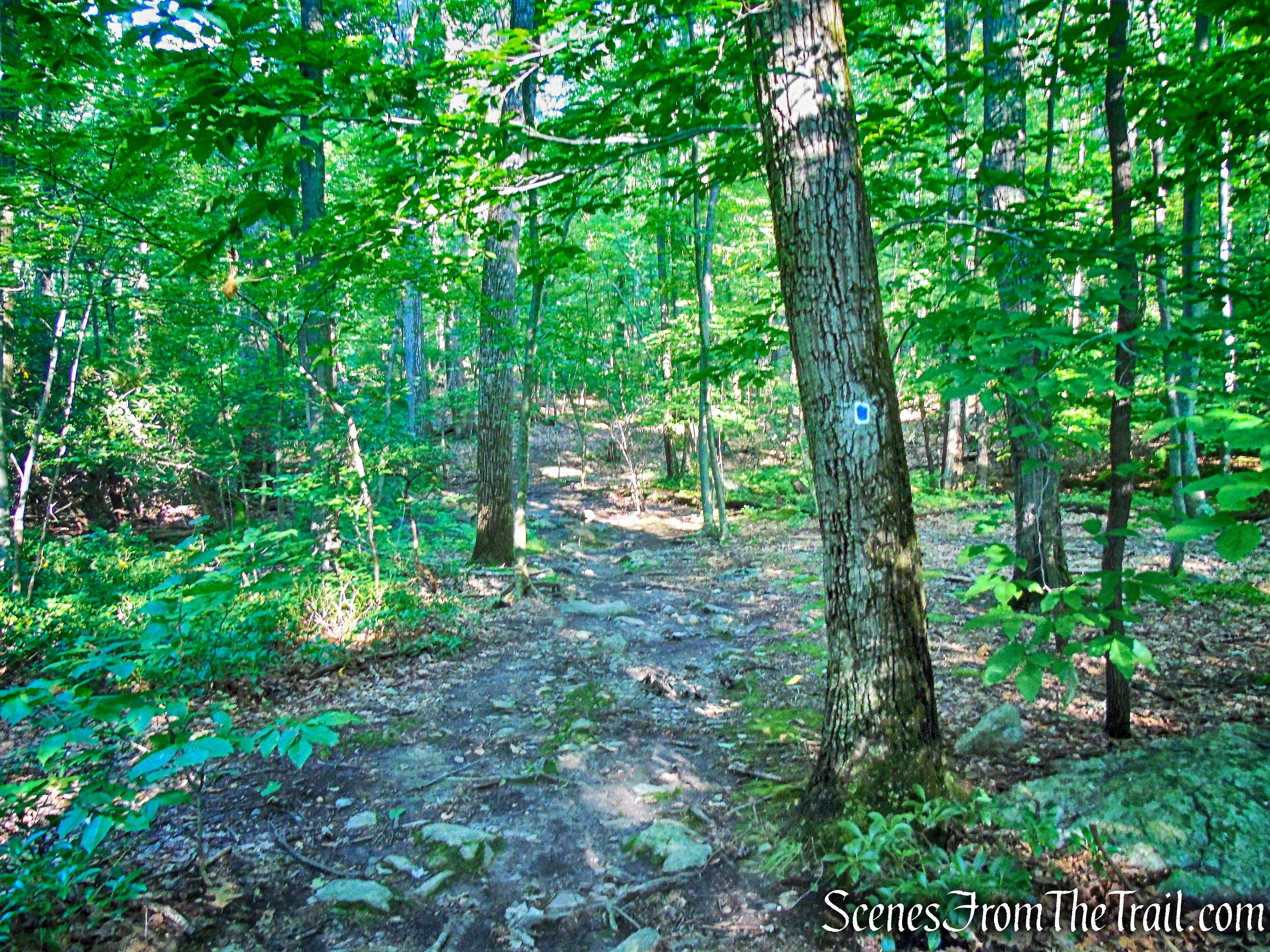 State Line Trail