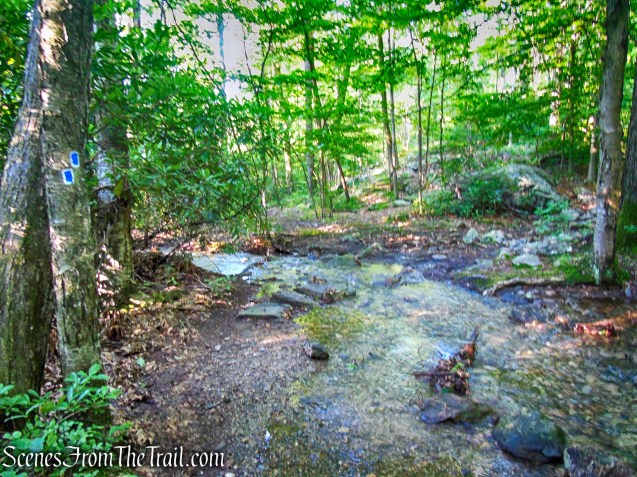 water crossing - State Line Trail