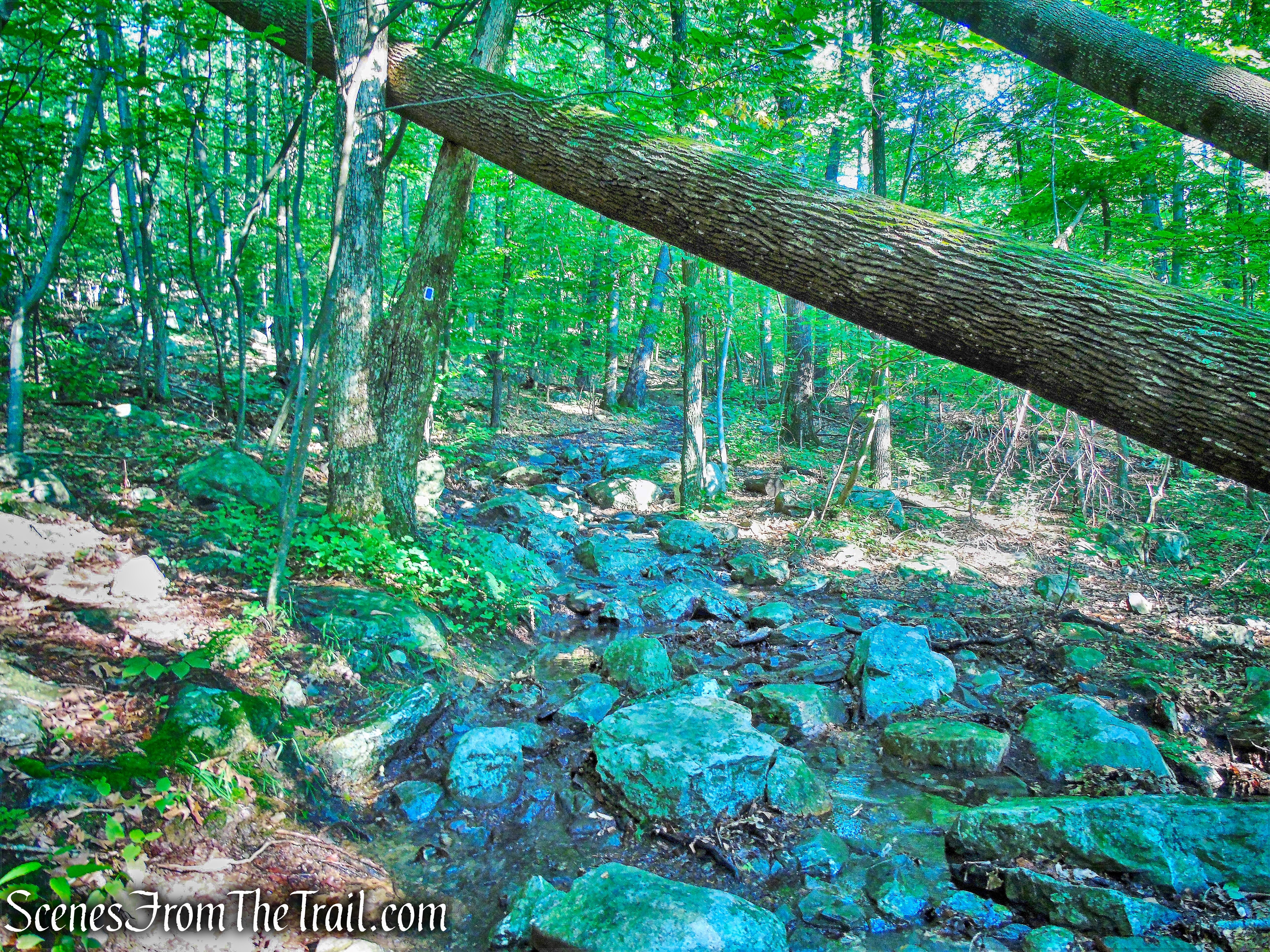 State Line Trail