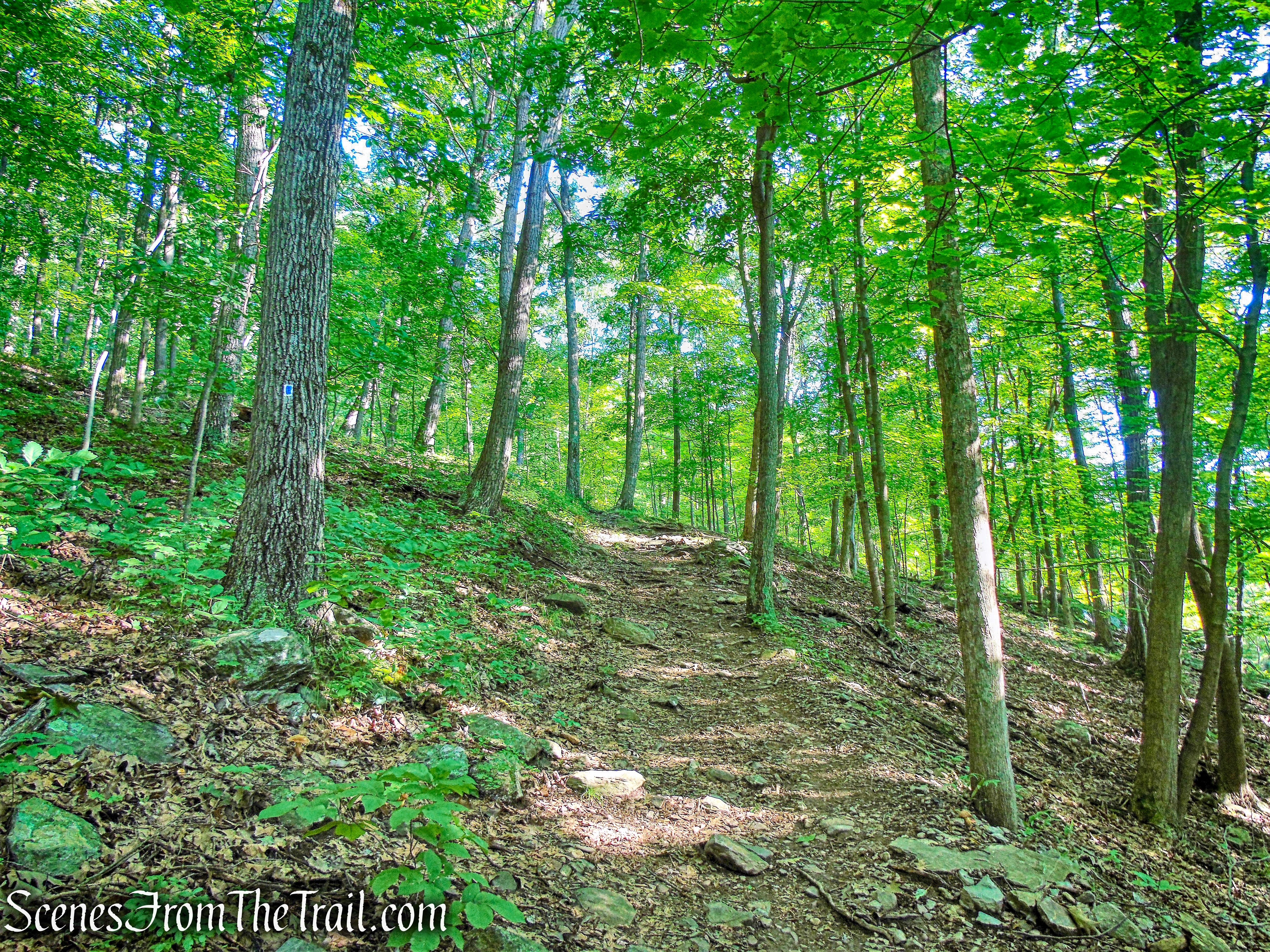State Line Trail