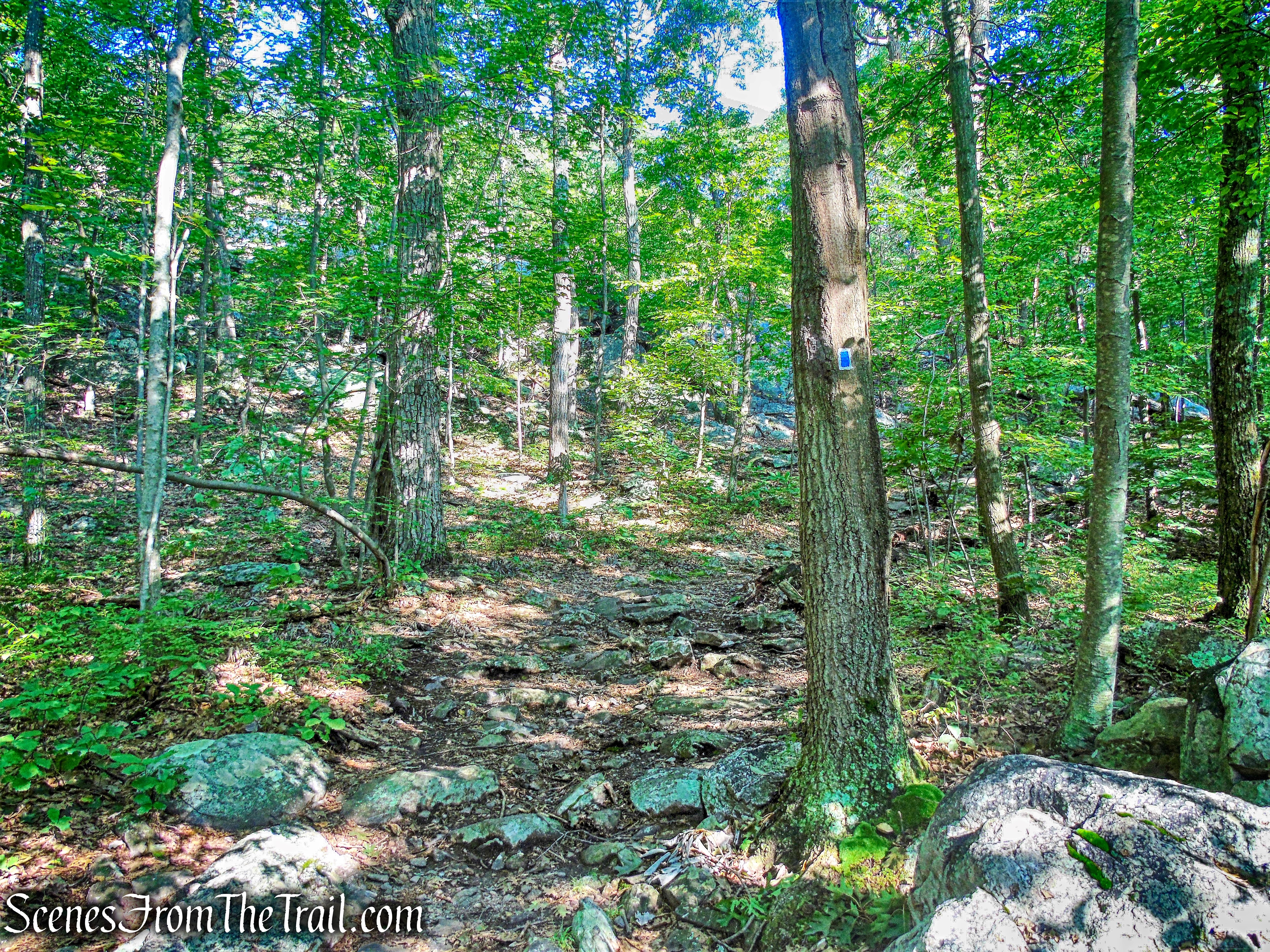 State Line Trail