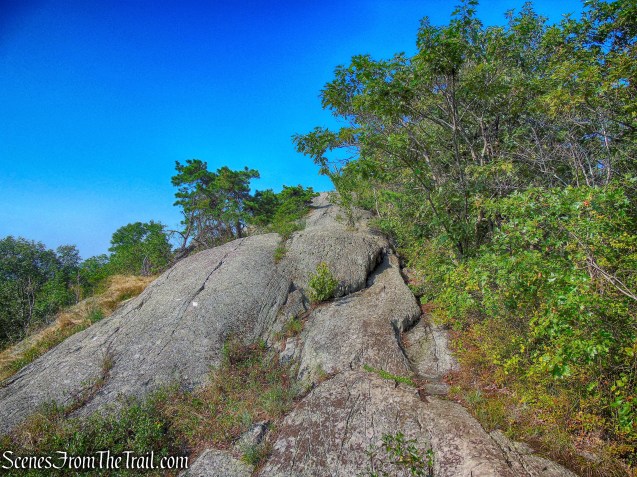 Bearfort Ridge - Ernest Walter Trail
