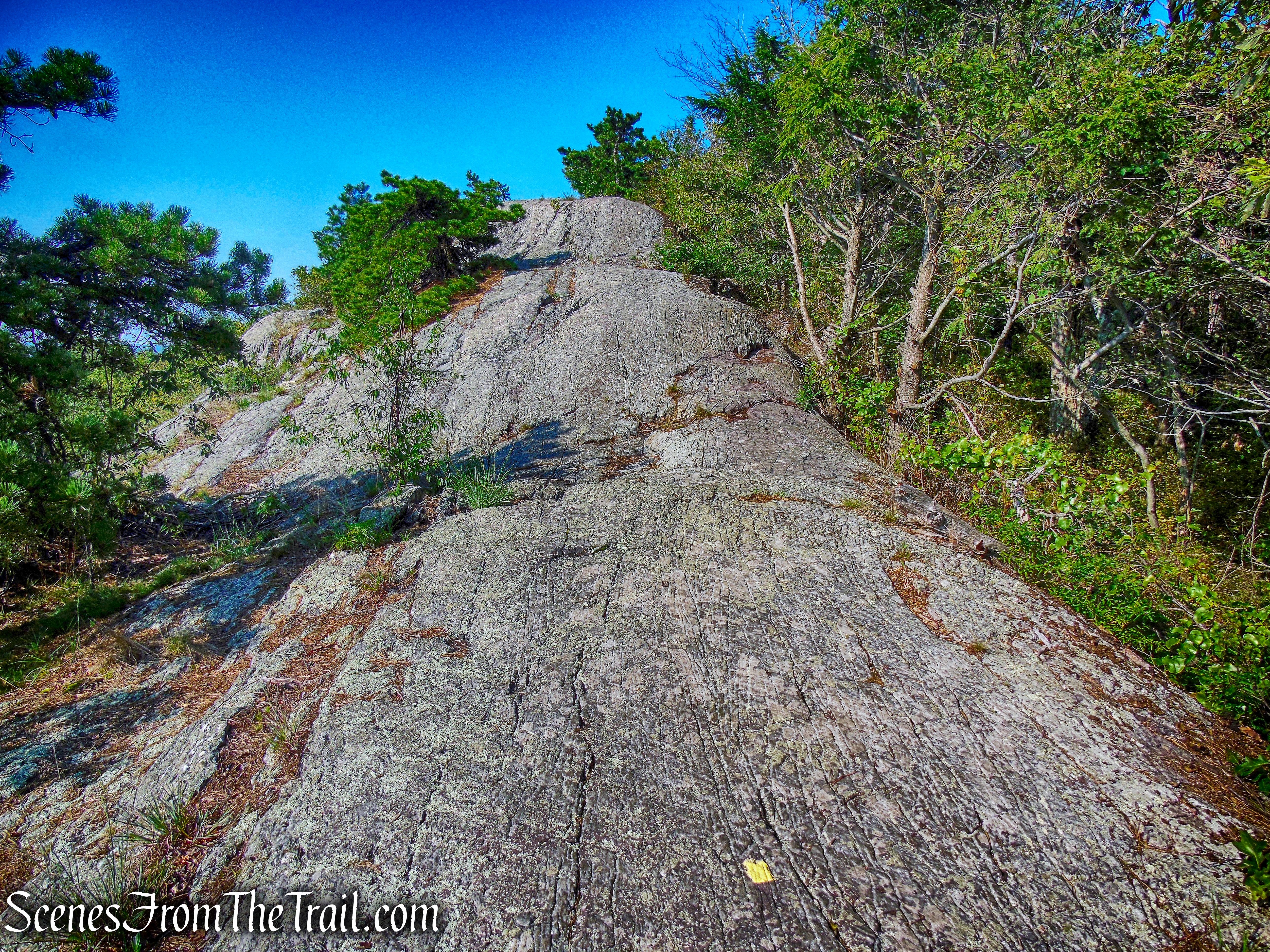 Bearfort Ridge