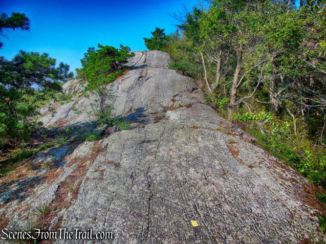 Bearfort Ridge - Ernest Walter Trail