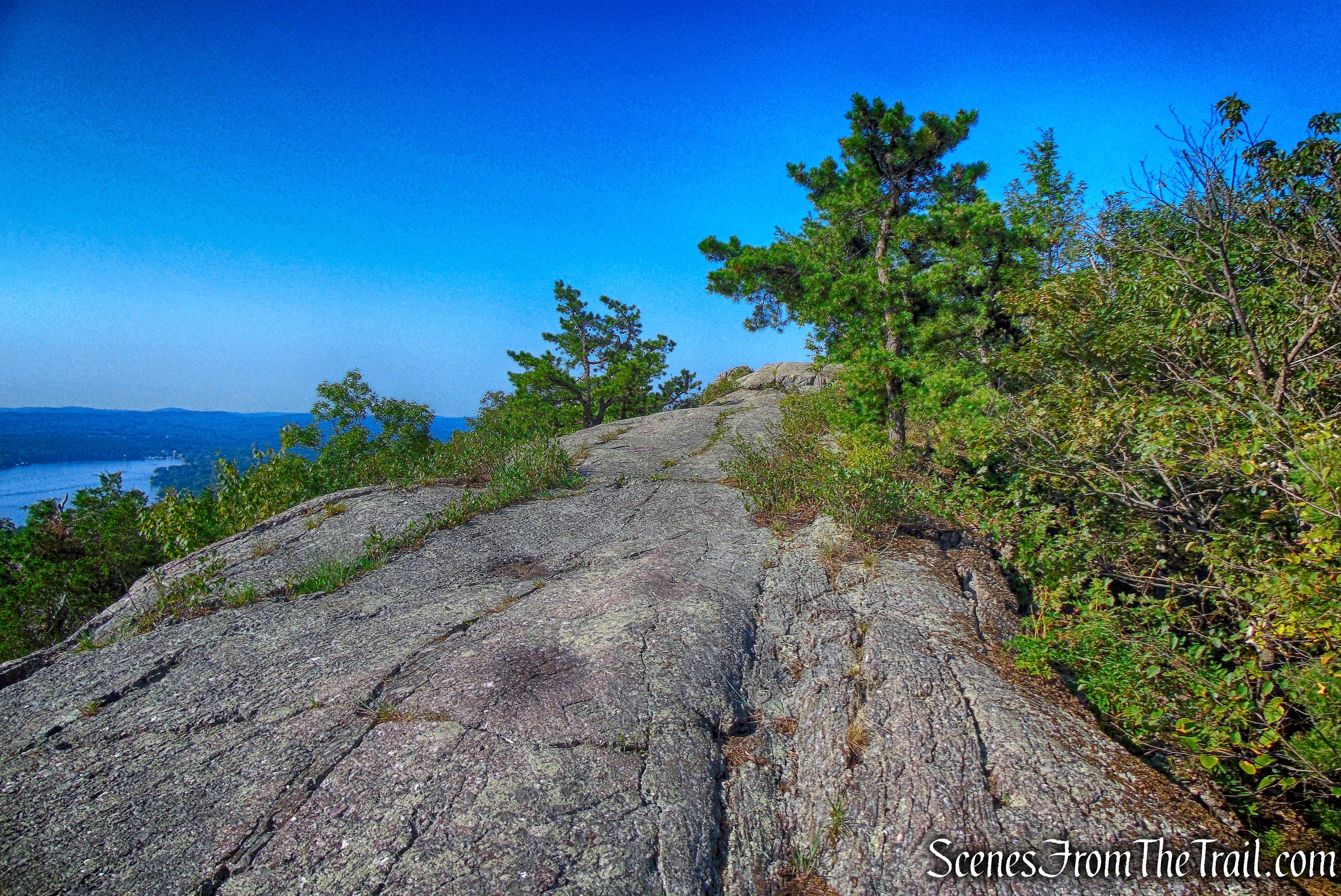 Ernest Walter Trail - Bearfort Ridge