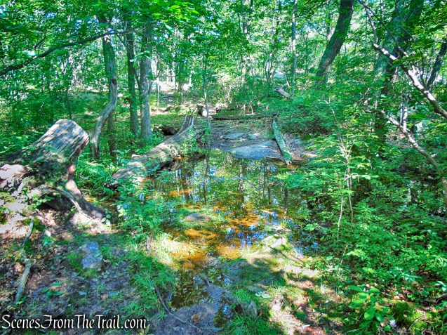 water crossing - Ernest Walter Trail