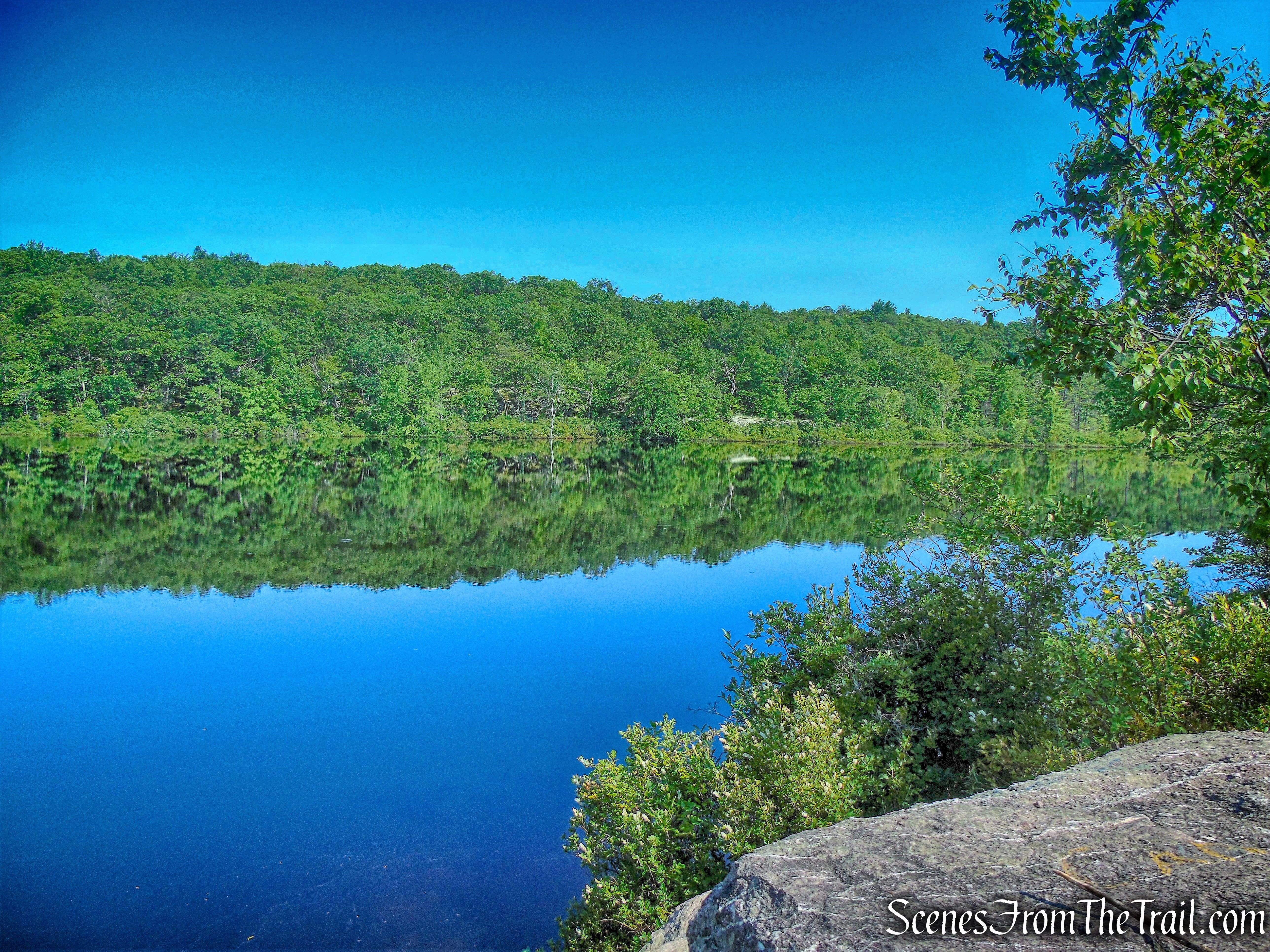 Surprise Lake