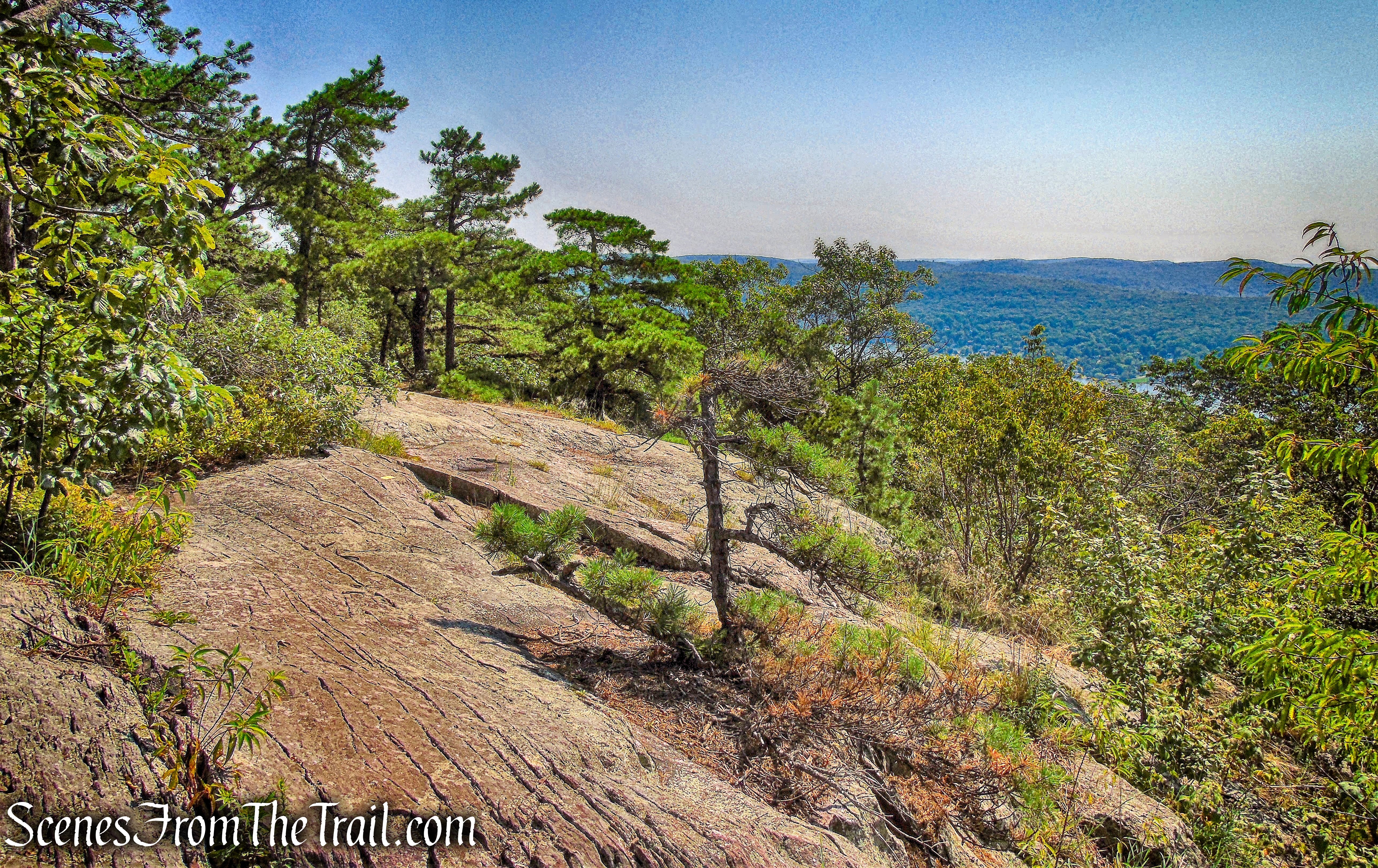 Bearfort Ridge - Ernest Walter Trail
