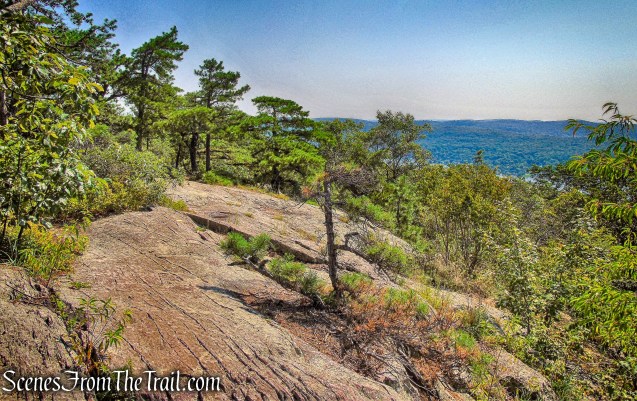 Bearfort Ridge - Ernest Walter Trail