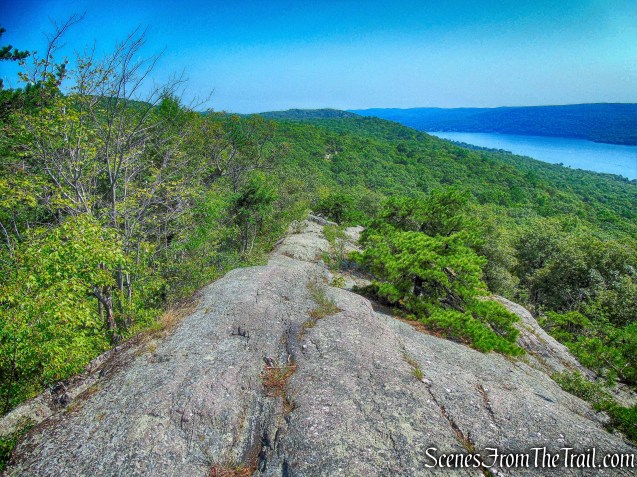 Bearfort Ridge - Ernest Walter Trail