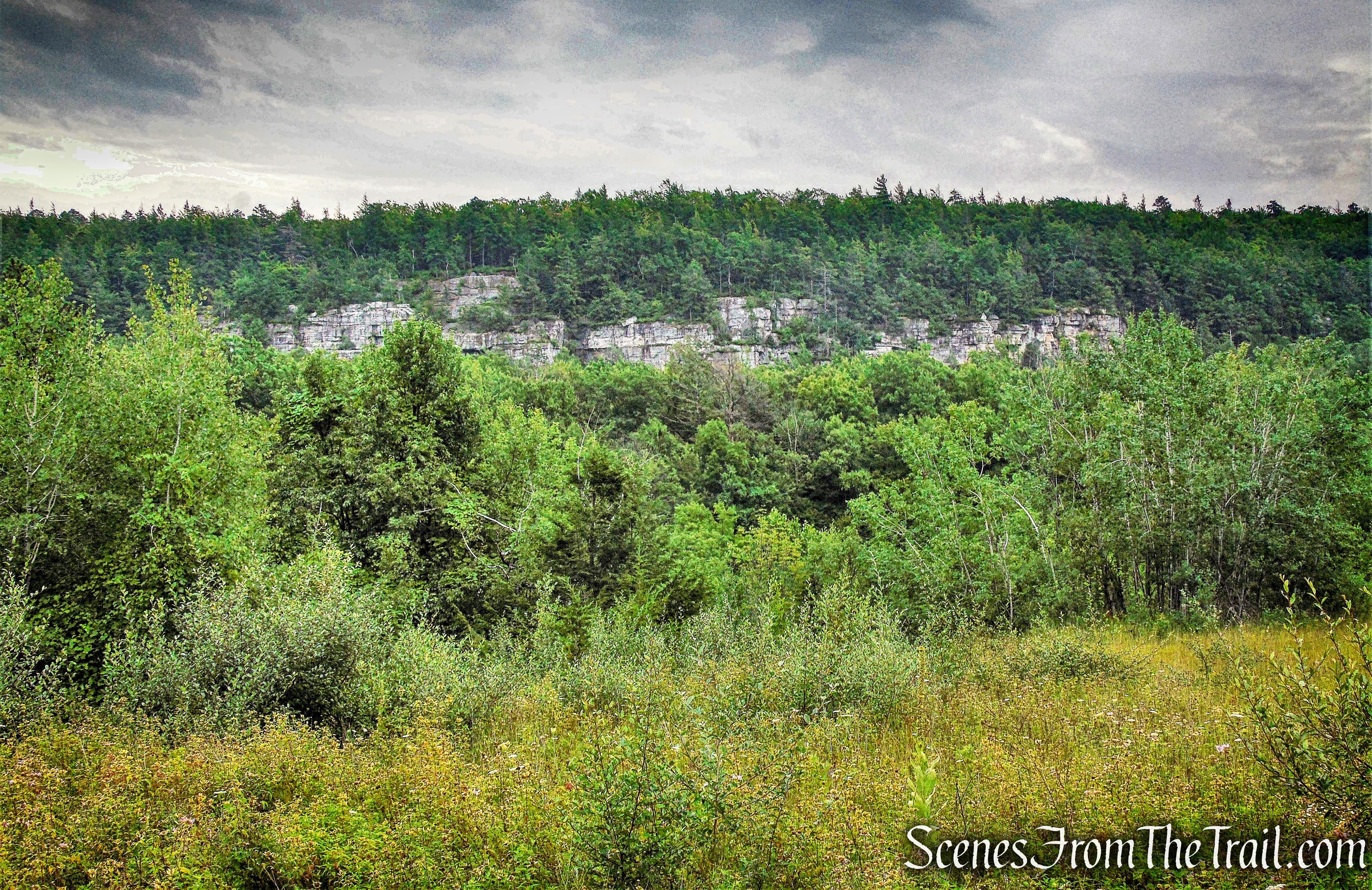 Shawangunk Ridge