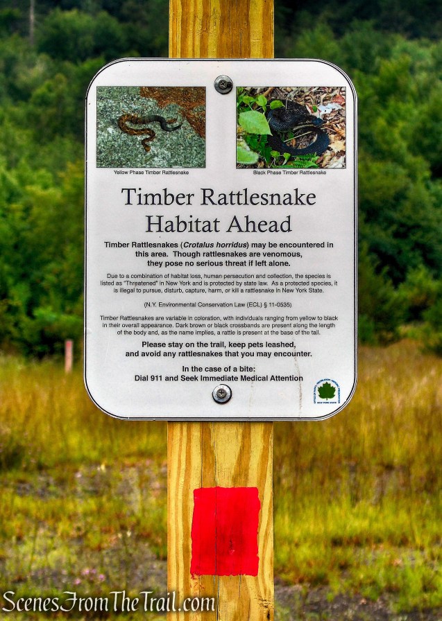 Stony Kill Falls Trail