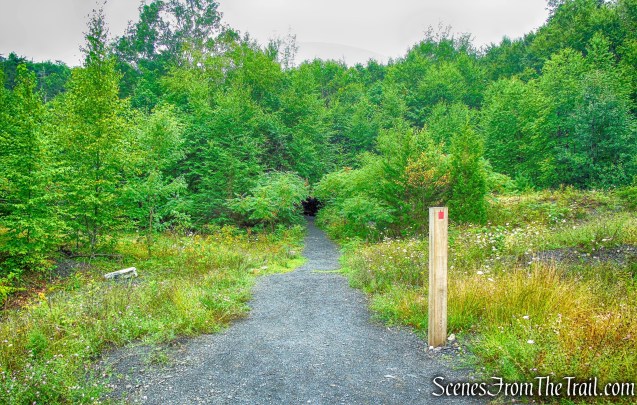 Stony Kill Falls Trail
