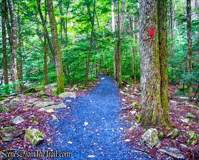 Stony Kill Falls Trail