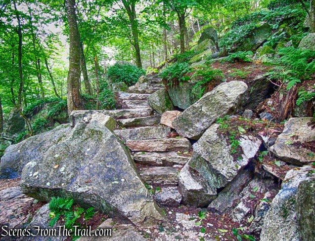 Stony Kill Falls Trail