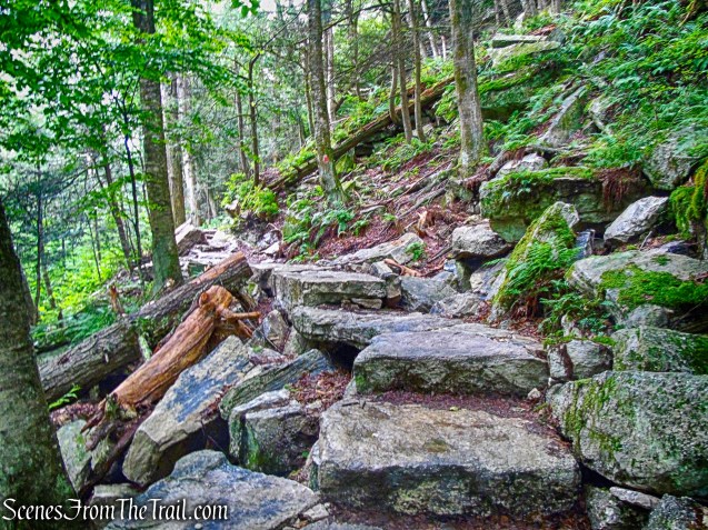 Stony Kill Falls Trail