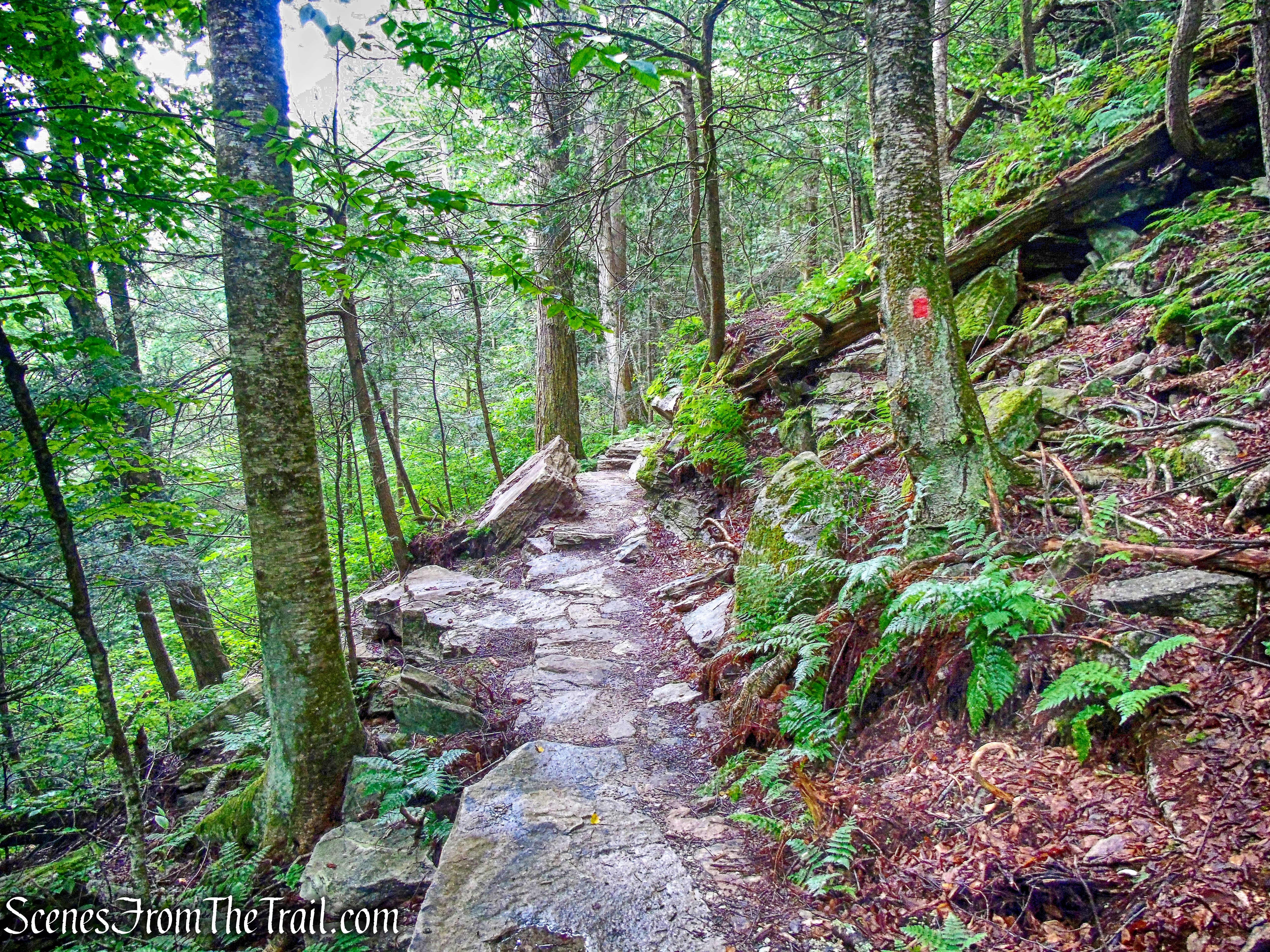 Stony Kill Falls Trail