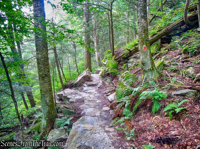Stony Kill Falls Trail
