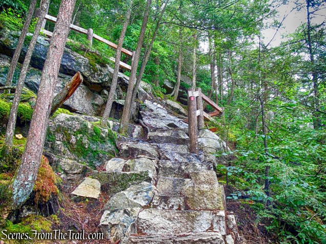 Stony Kill Falls Trail
