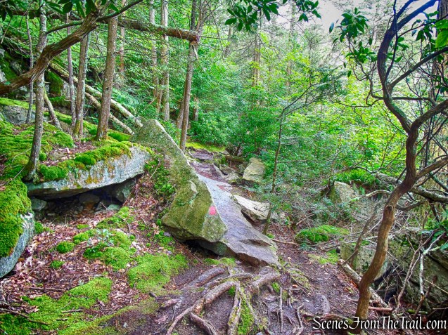 Stony Kill Falls Trail