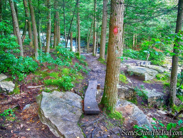 Stony Kill Falls Trail