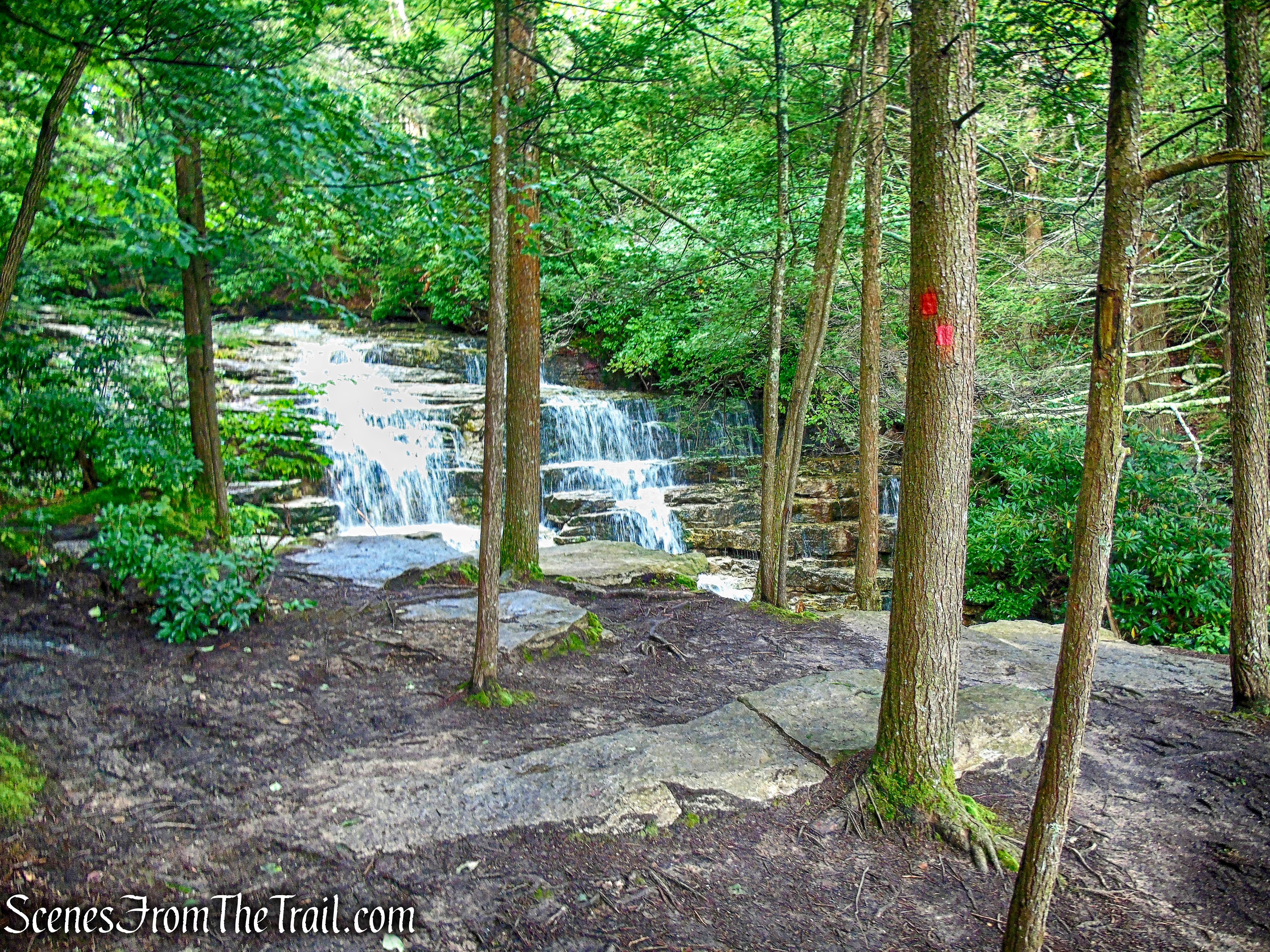 Stony Kill Falls Trail